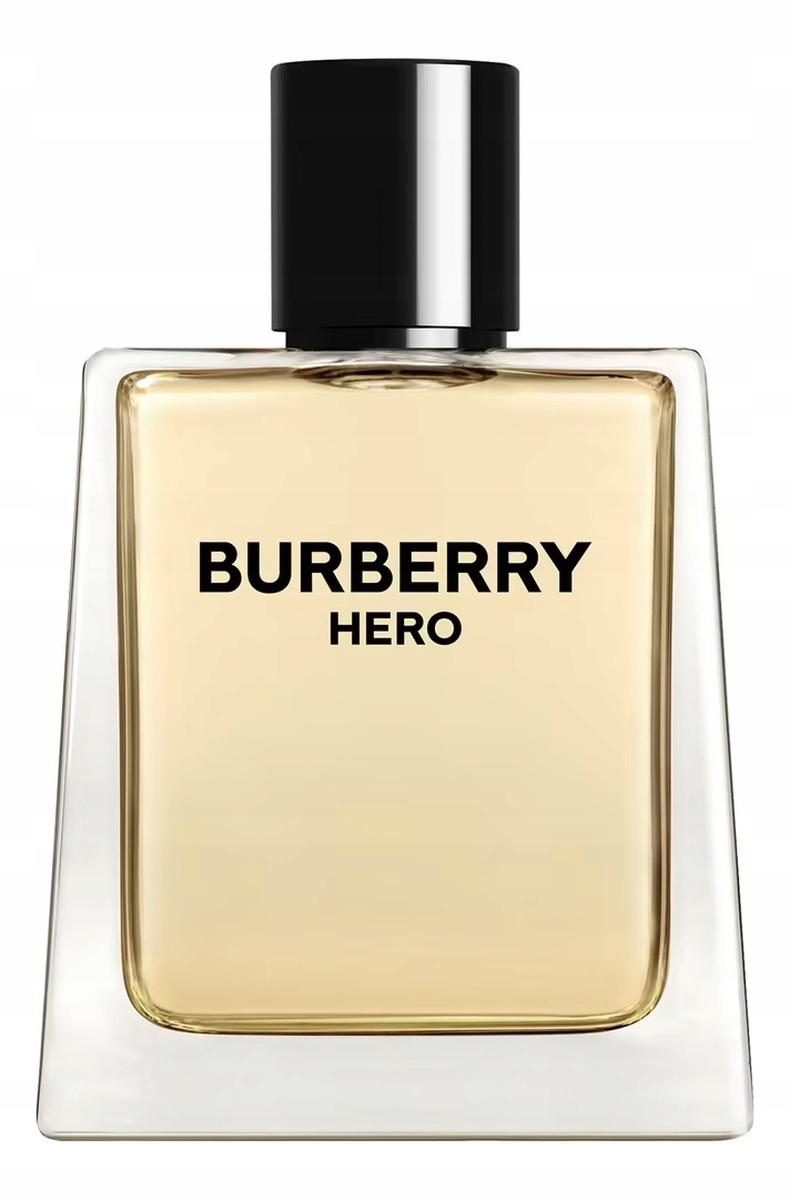 Burberry Hero Toaletní voda sprej 100 ml