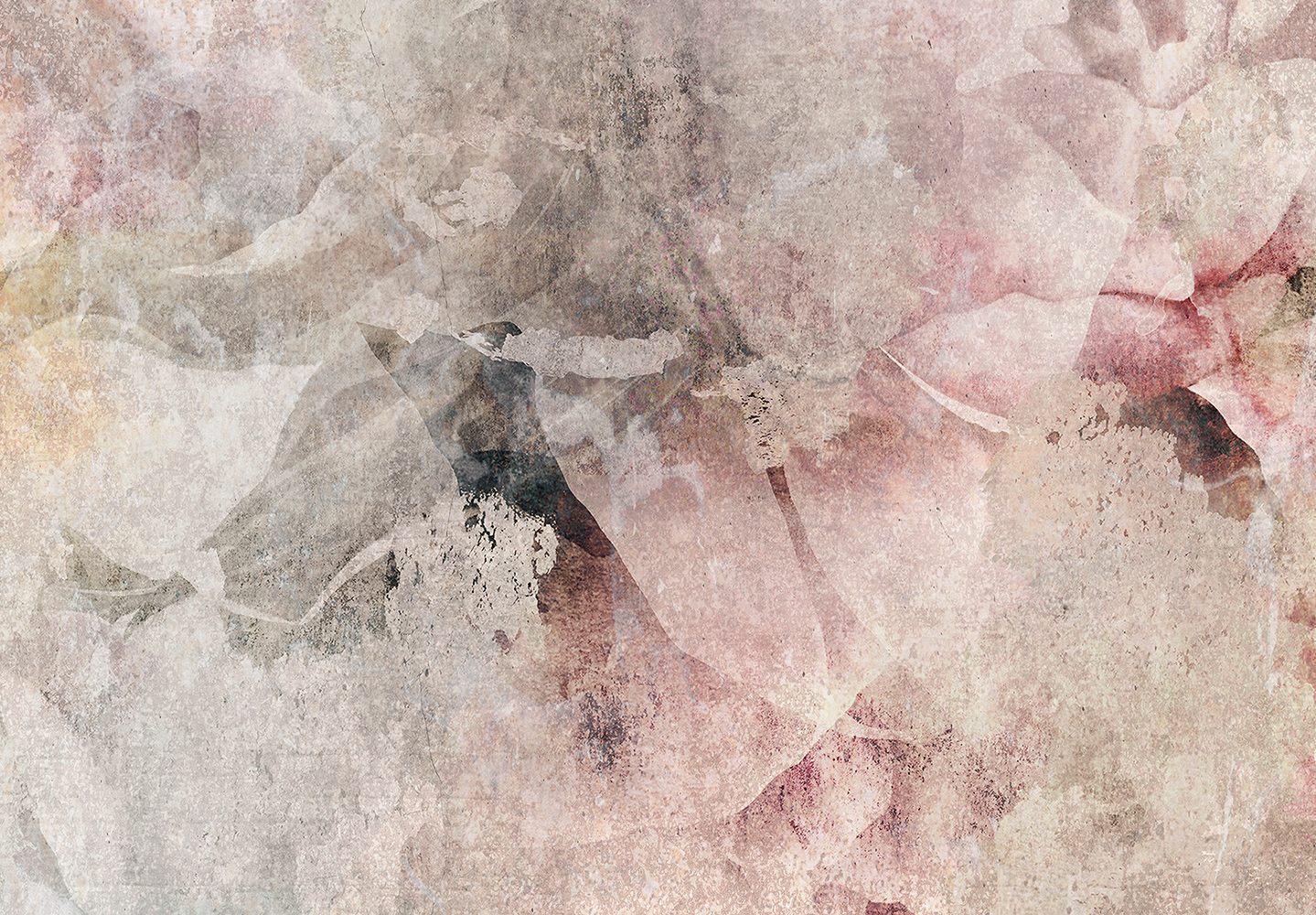 FOTOTAPETA KWIATY PIWONIE 400x280 b-C-0930-a-a Wysokość produktu 280 cm