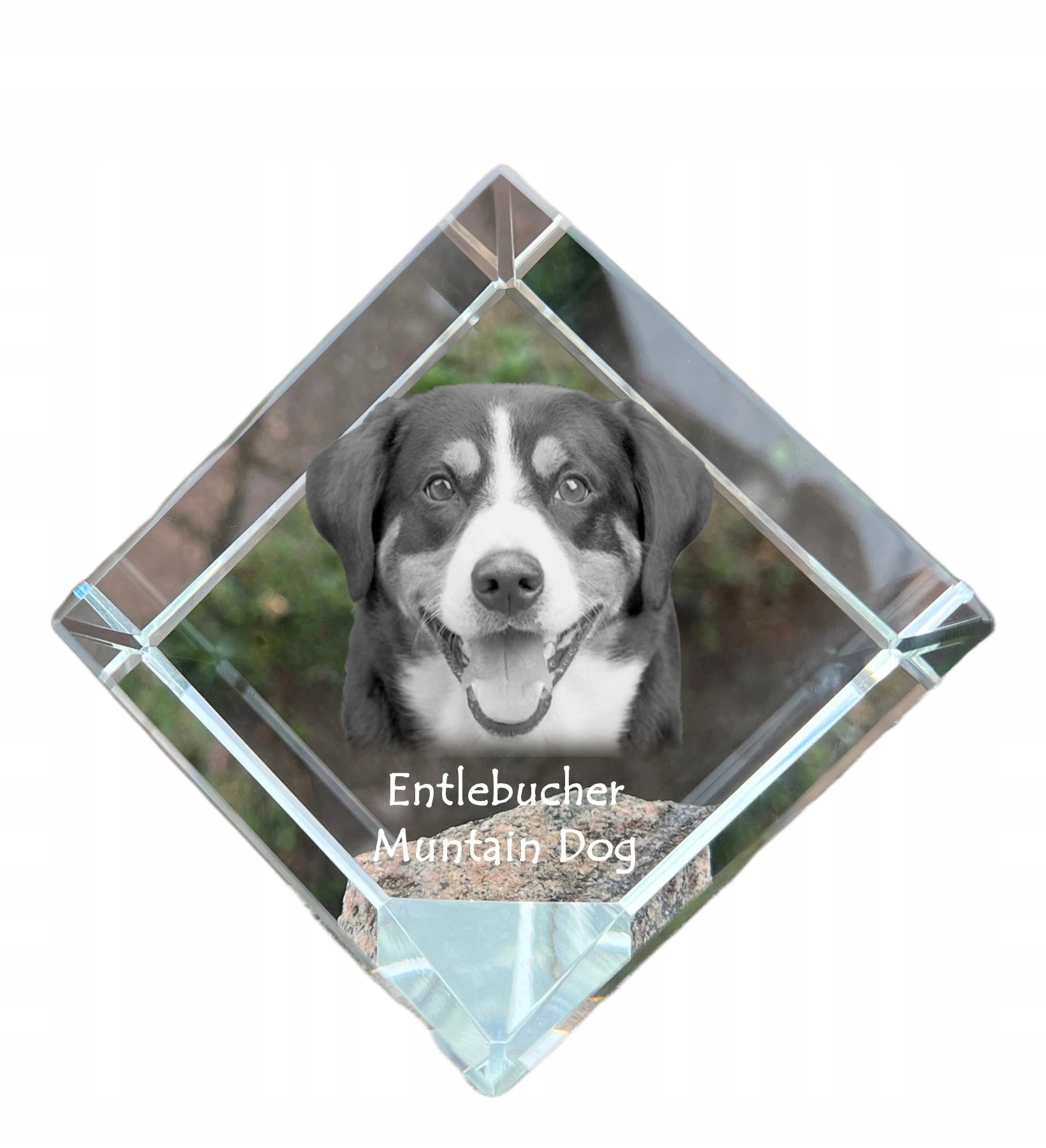 Entlebucher krištáľová kocka s fotografiou psa, ozdoba na stôl, tlačidlo