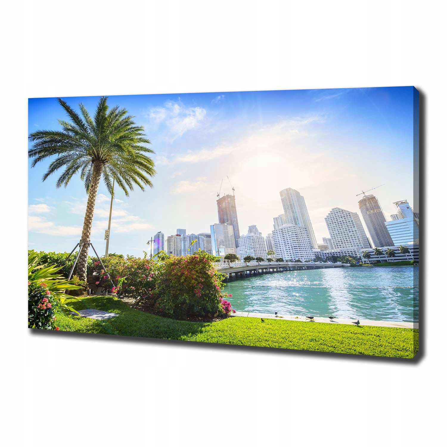 

Foto obraz canvas na ścianę Miami Usa 100x70 cm