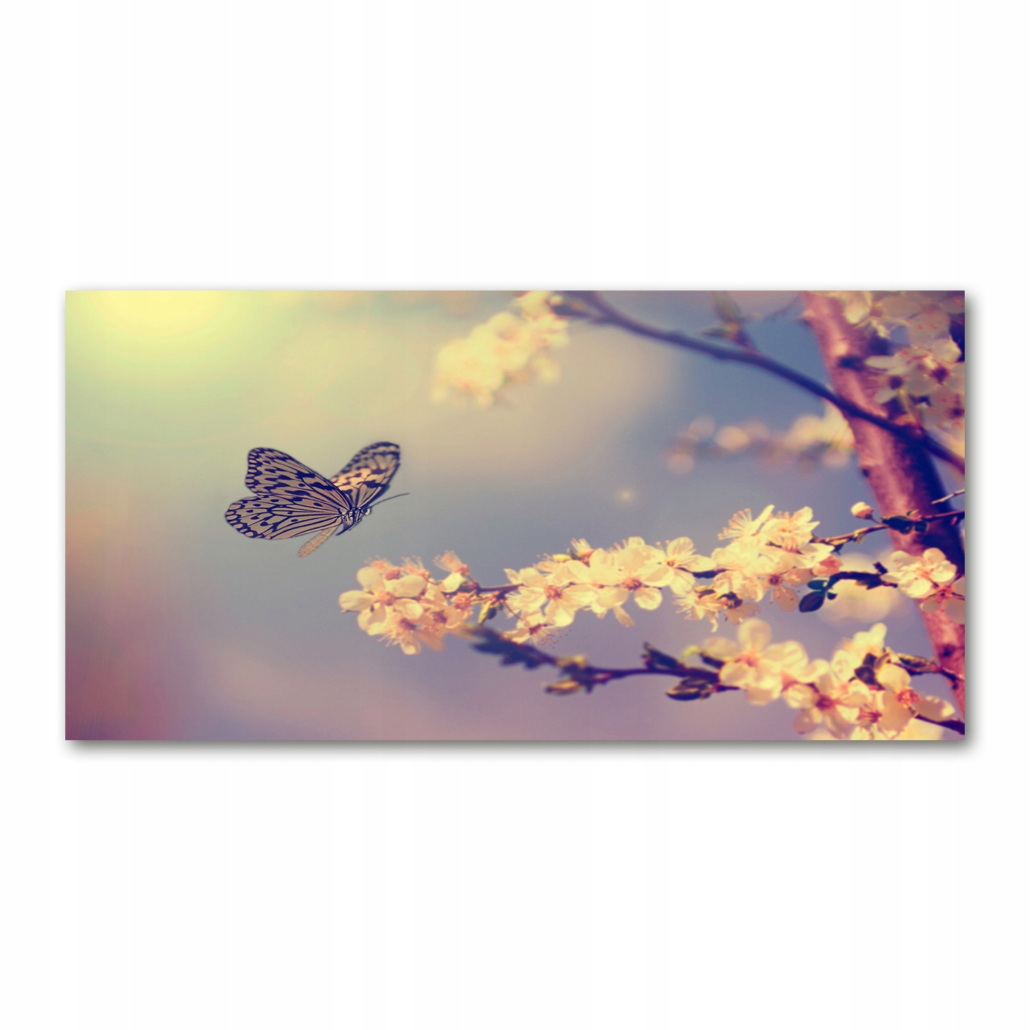 

Foto-obraz akrylowy Kwiat wiśni i motyl 140x70 cm