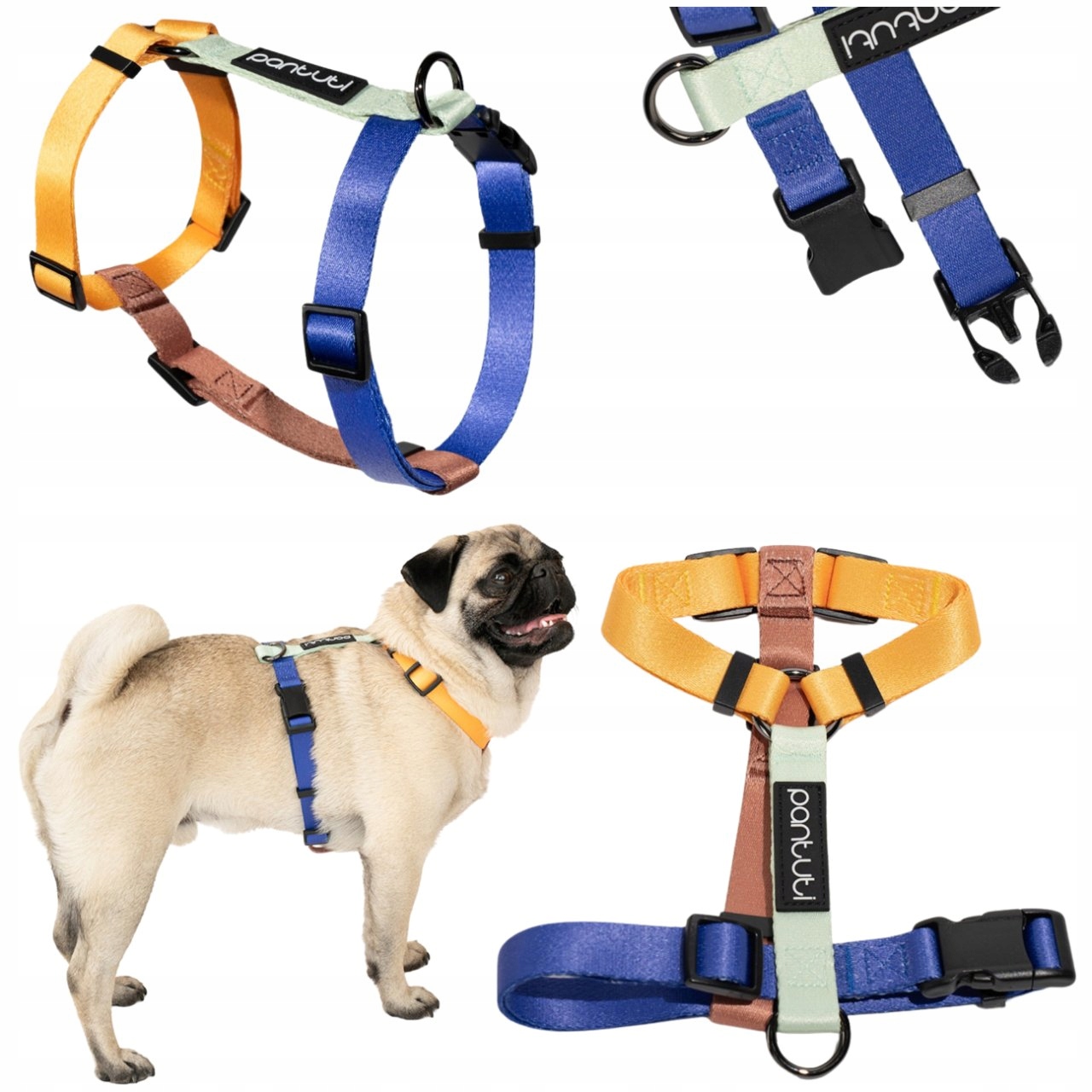 Levně Obojky Pro Psa Guard Obojky Pro Malého Psa Silné Barevné Porto S