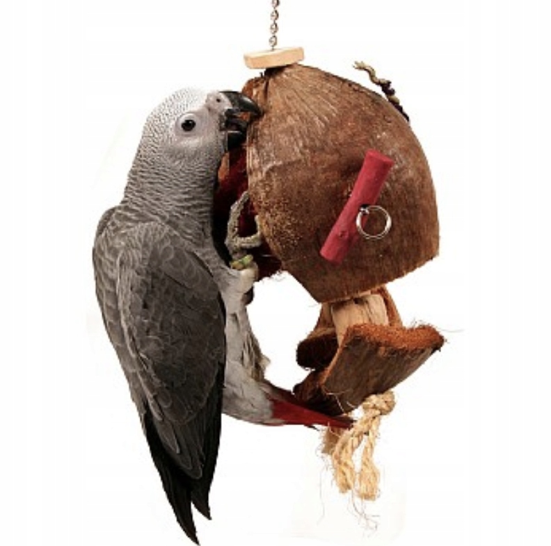Levně PaPuga na Kokosu – přírodní hračka pro papoušky