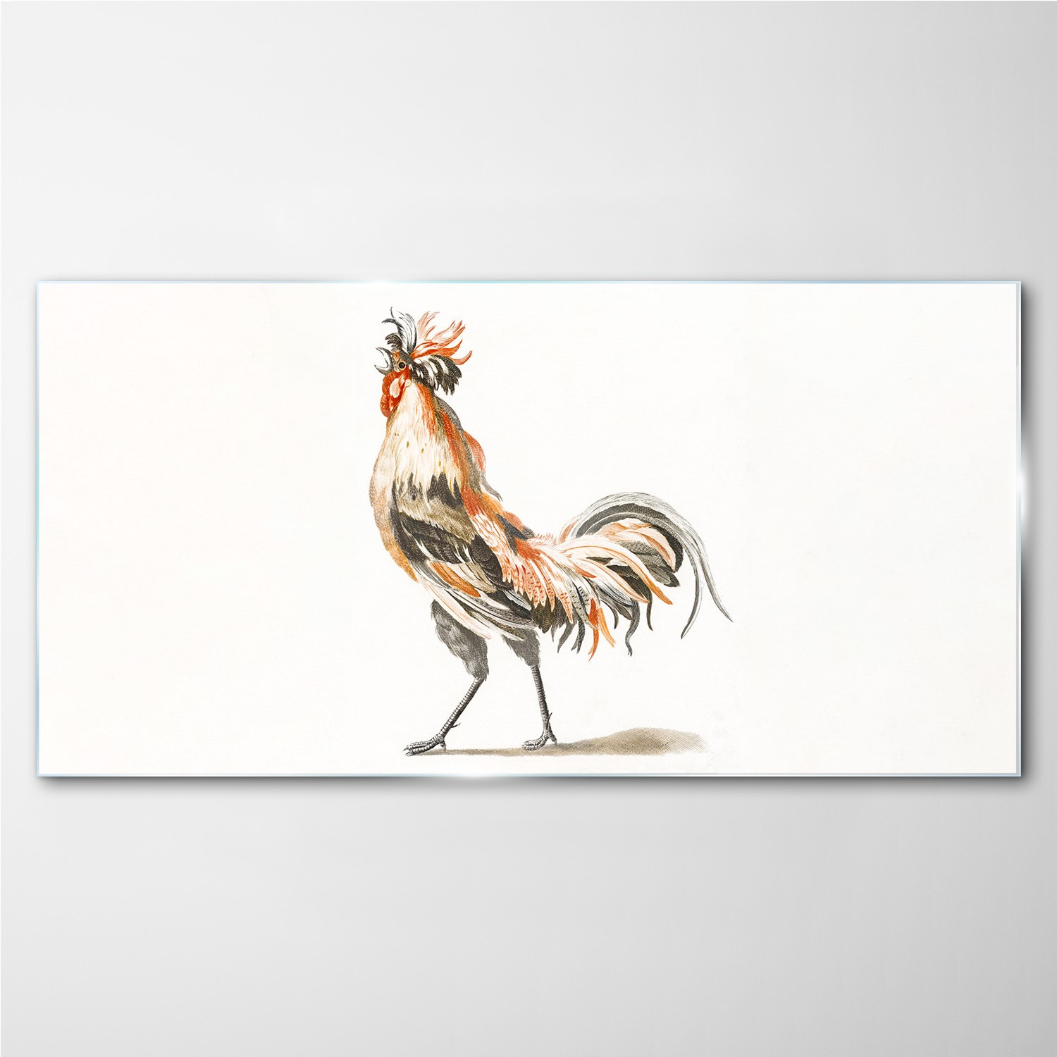 

Foto-obraz szklany Zwierzę ptak kurczak 140x70 cm