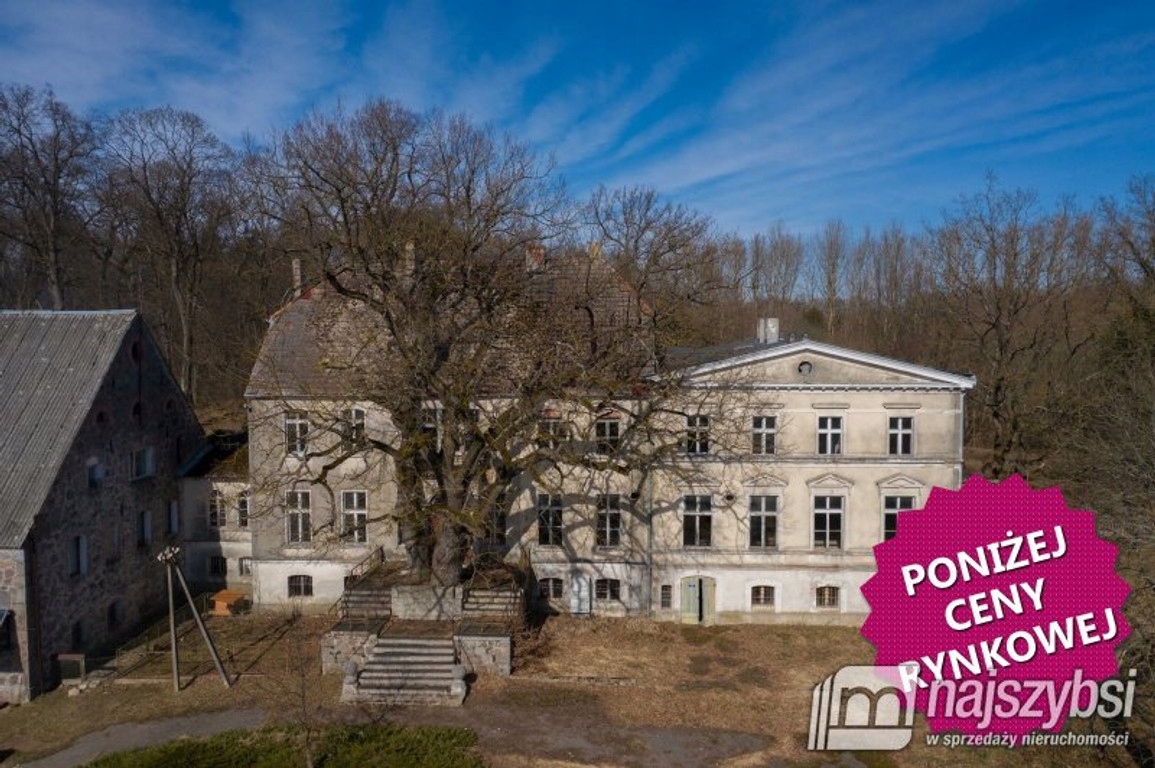 Dom, Ińsko, Ińsko, Stargardzki, 800 m²