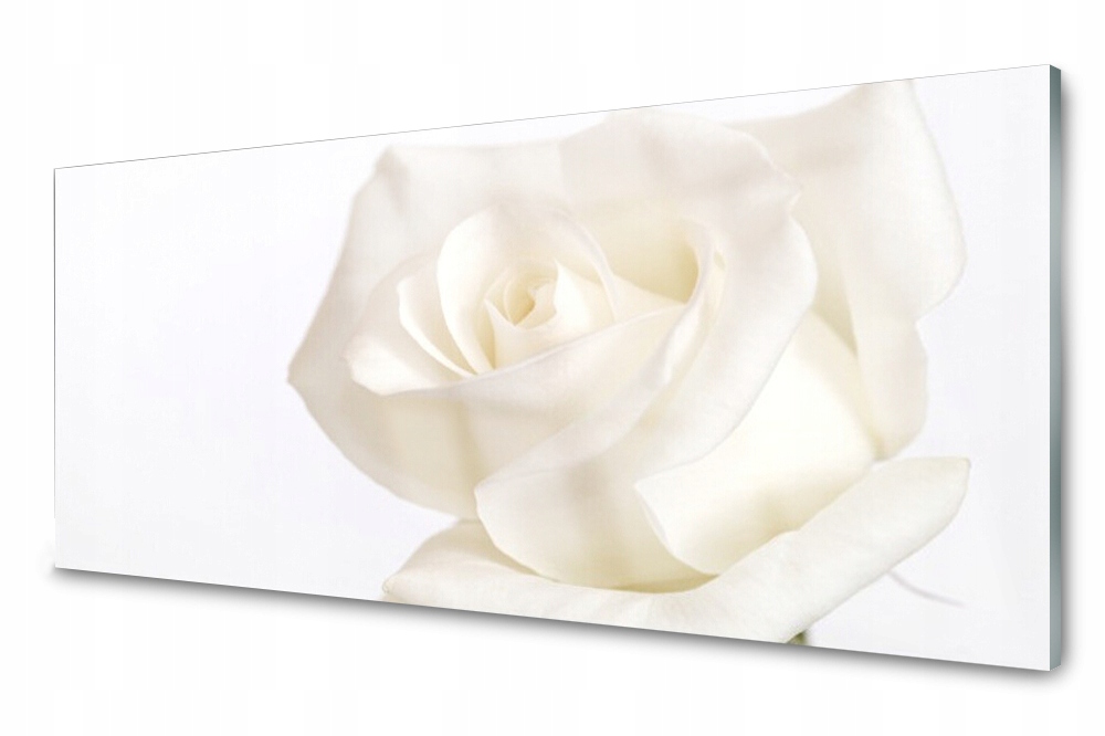 

Panel szklany do kuchni Róża Kwiaty 125x50