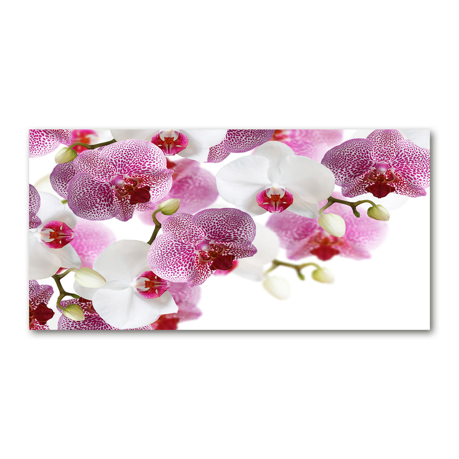 

Foto obraz duży akryl nowoczesny Orchidea 120X60cm