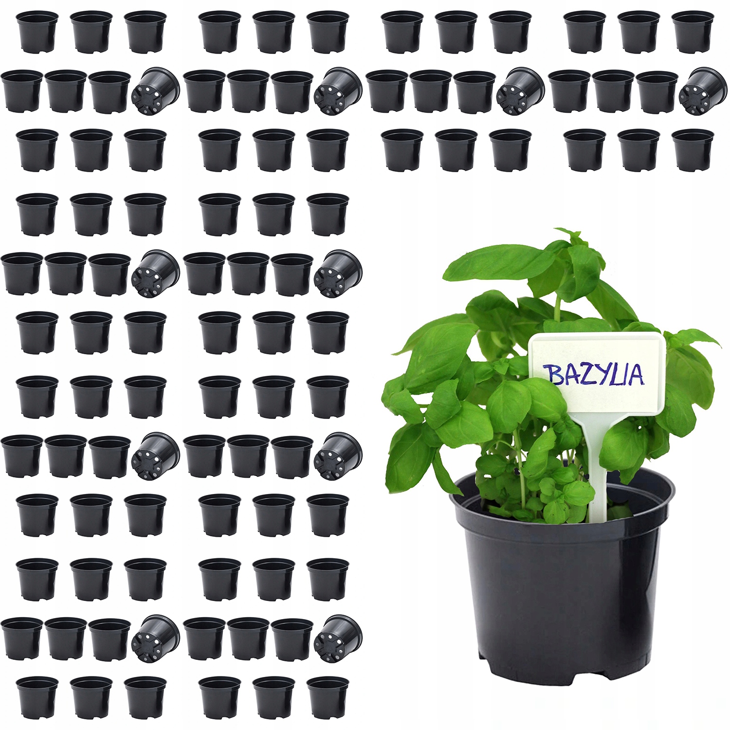 

Doniczka produkcyjna czarna 12 cm 0,7l 100 sztuk