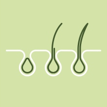 PRIORIN KAPSLE DOPLNĚK STRAVY PRO RŮST VLASŮ 120 KUSŮ Značka BAYER