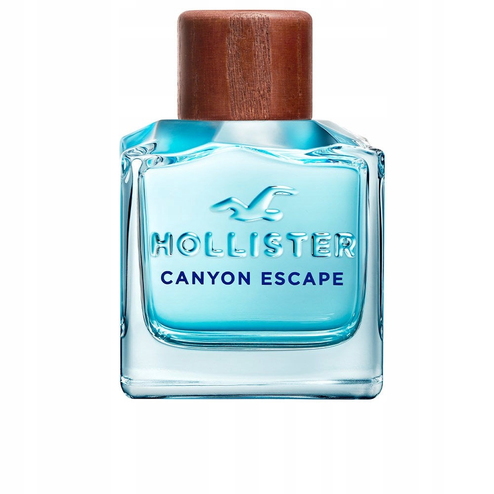 Hollister Canyon Escape Edt Pánská toaletní voda 100 ml