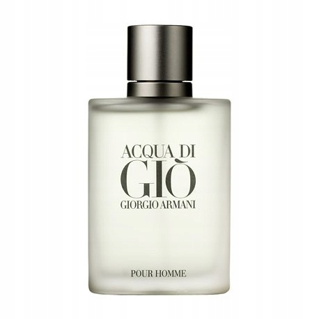 Giorgio Armani Acqua Di Gio Pour Homme EDT 100 ml