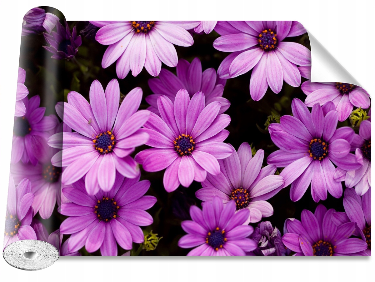 

Tapeta Samoprzylepna Fioletowe kwiaty 152x104