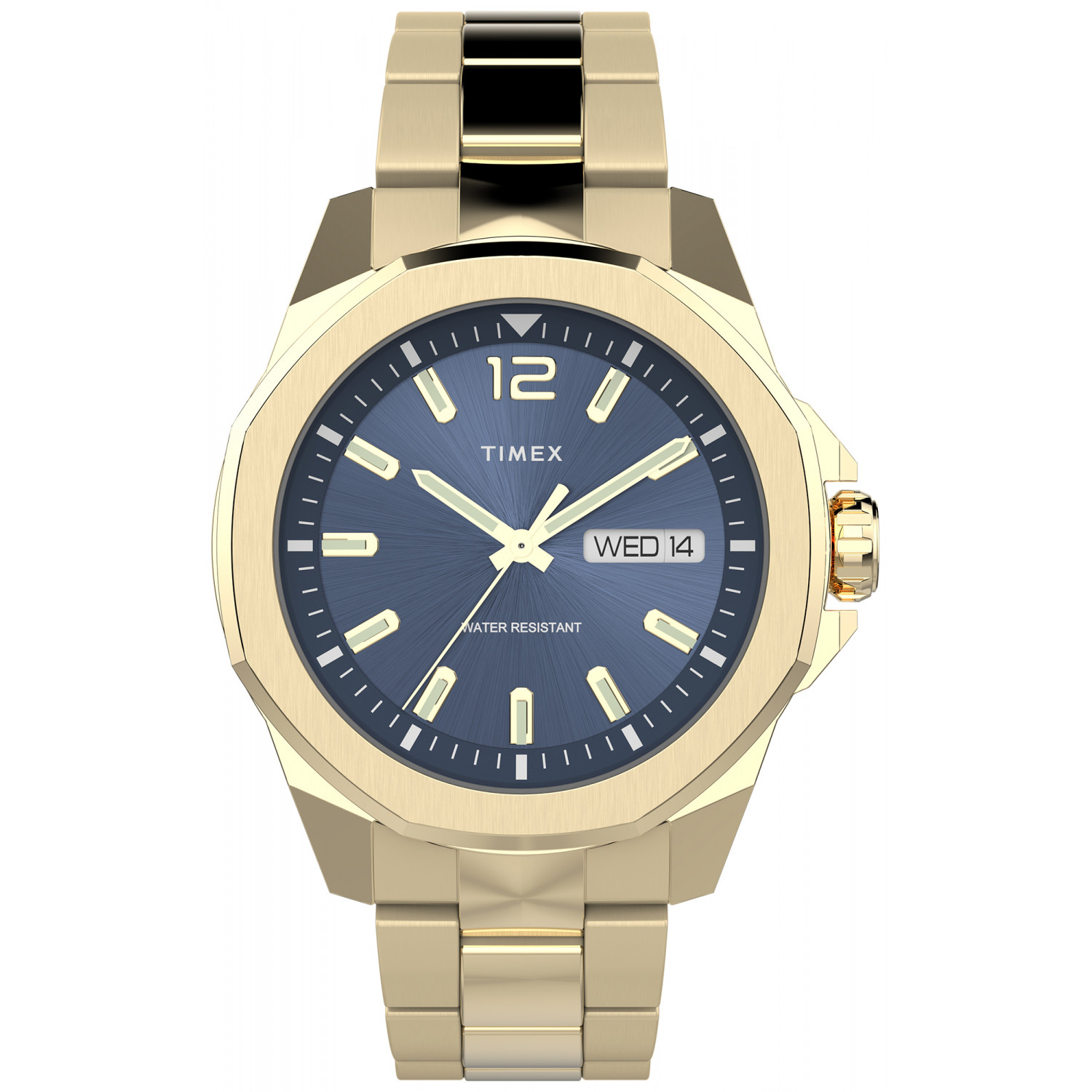 Pánské Hodinky Timex TW2W13800 zlaté