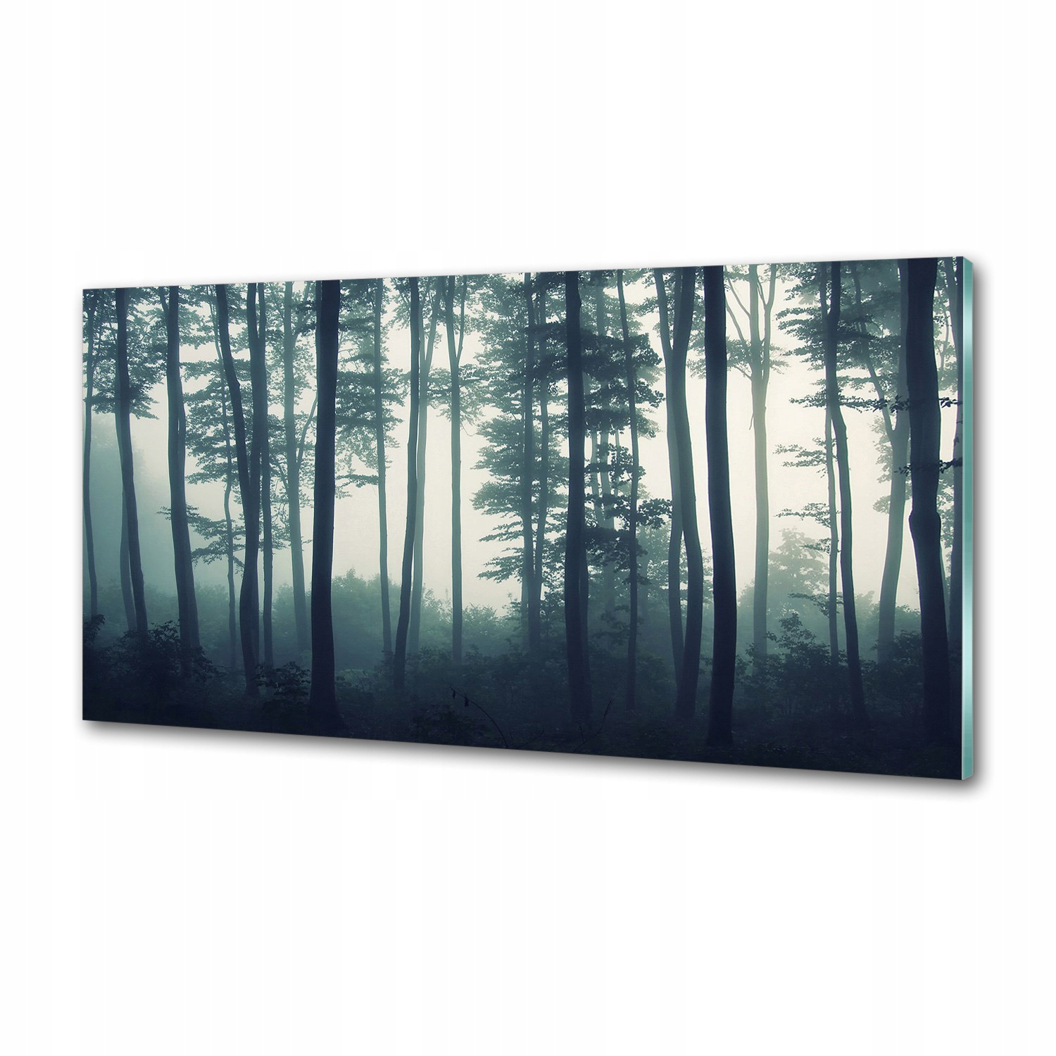 Panel dekor sklo Les v hmle 120x60 cm Lepidlo