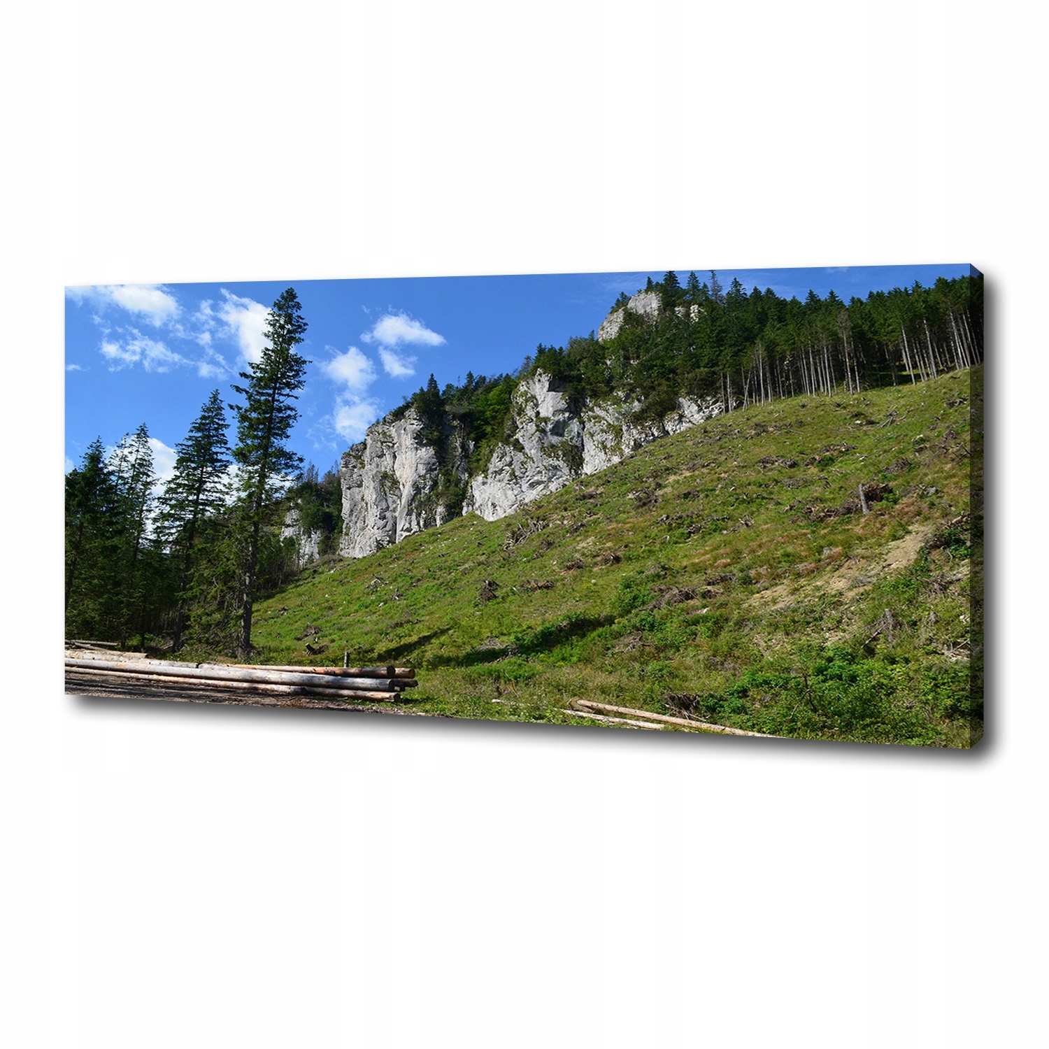 

Foto obraz na płótnie Skaliste szczyty 125x50 cm
