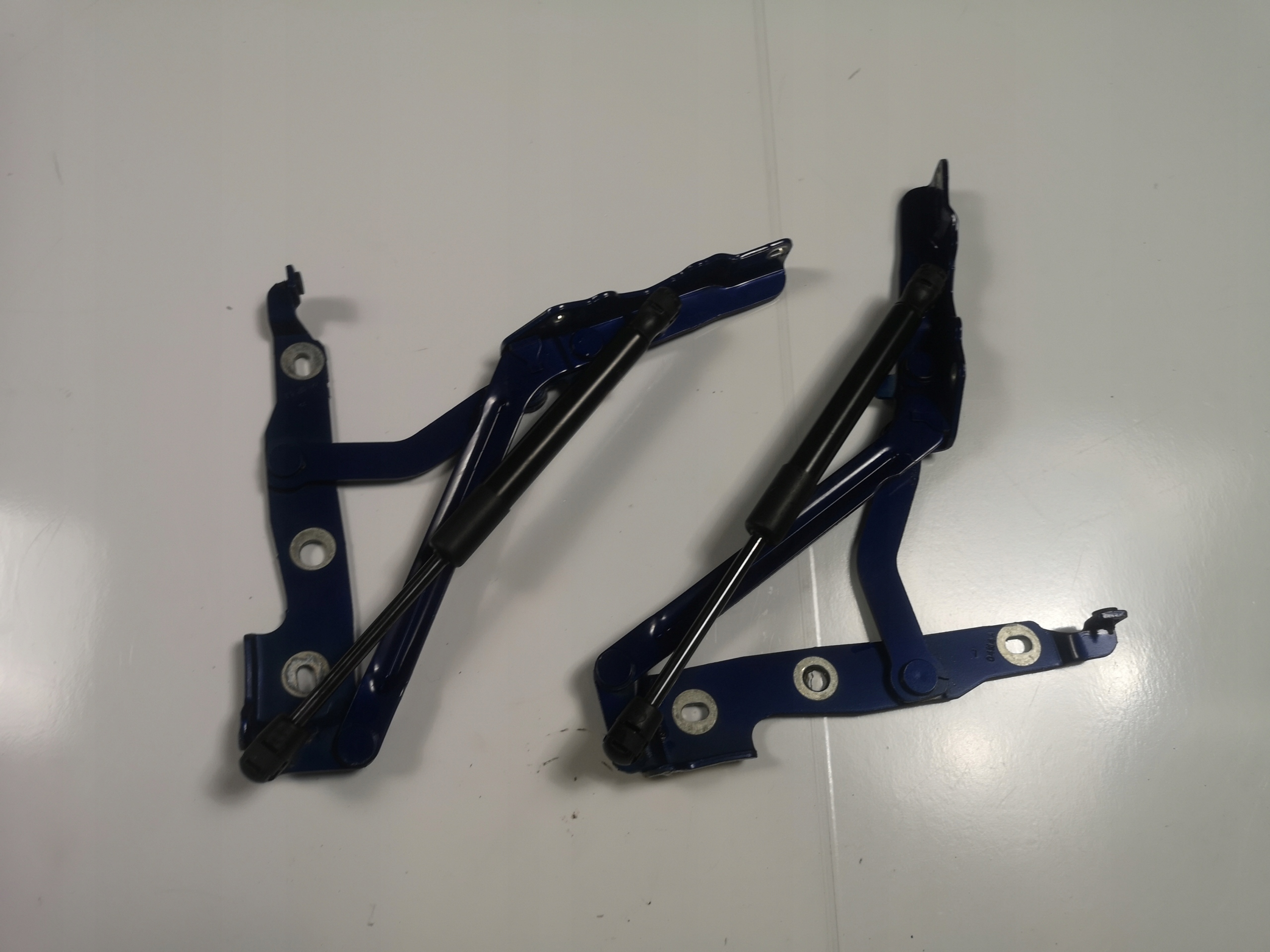 1232 - Петлі багажника Mustang 2010-2014