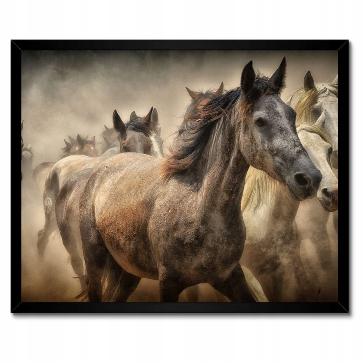 Plakáty v rámu 50x40 Kůň Jezdectví