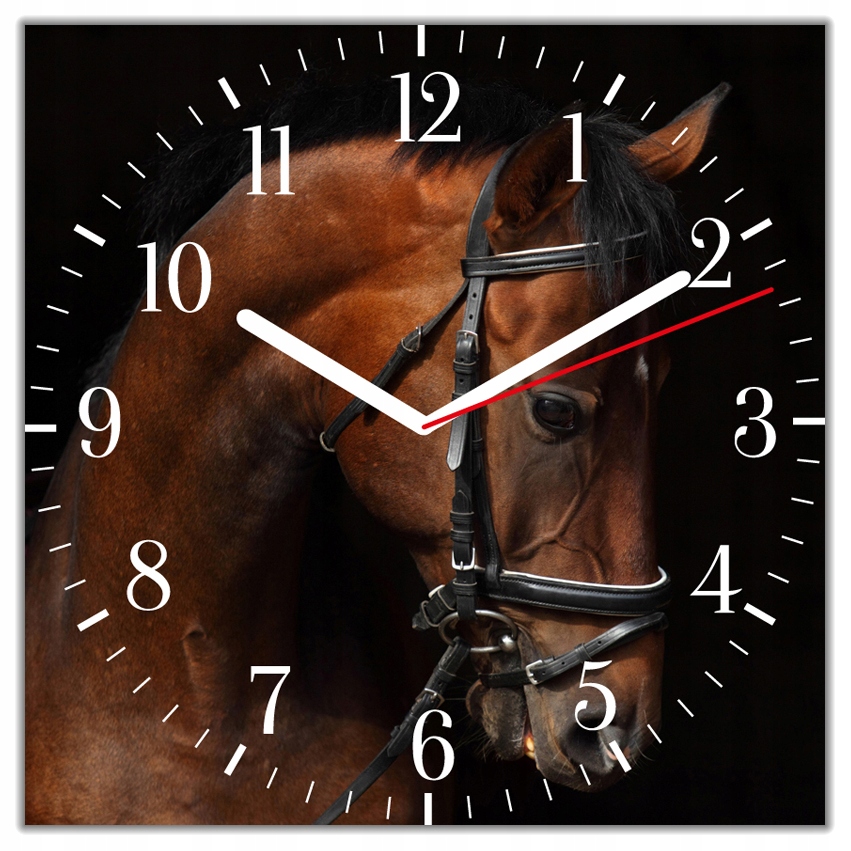 

Zegar Ścienny Szklany Koński Portret