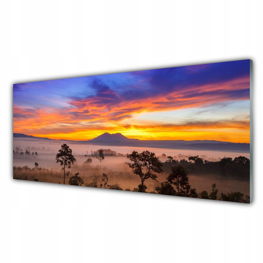 

Fotoobraz na ścianę 125x50 Drzewa Mgła Krajobraz