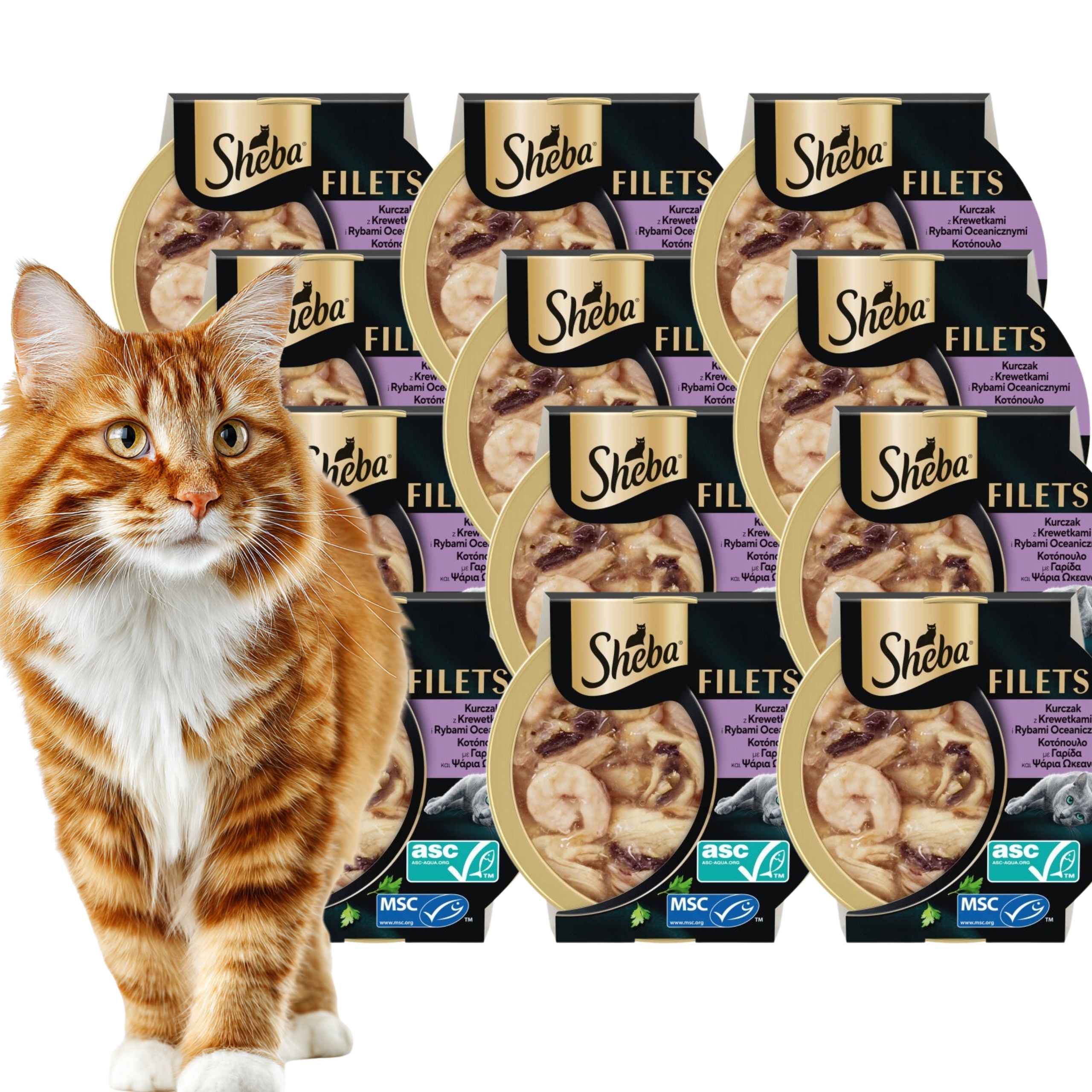 Sheba Tacka Krewetka Kurczak W Sosie 16x60G