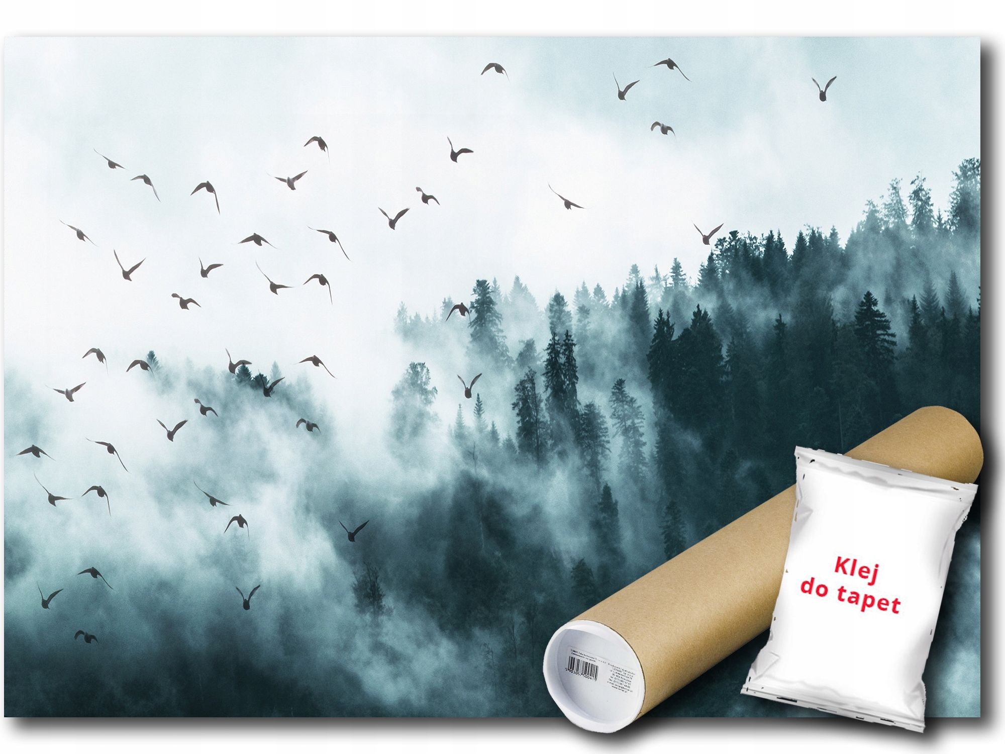 Fototapeta Vliesová Les Stromy Mlha Ptáci Výhled 200x140 lepidlo bonus