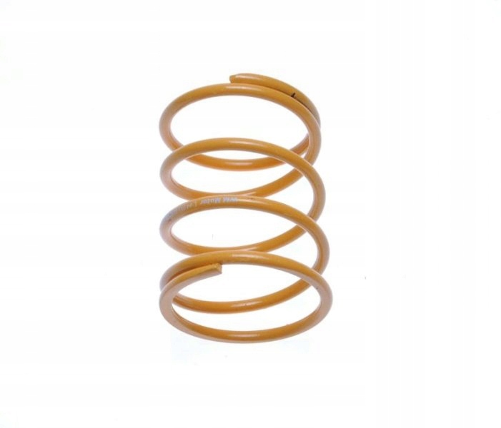 SPRĘŻYNA CENTRALNA SPRZĘGŁA TYŁ TUNING 2T NISKA