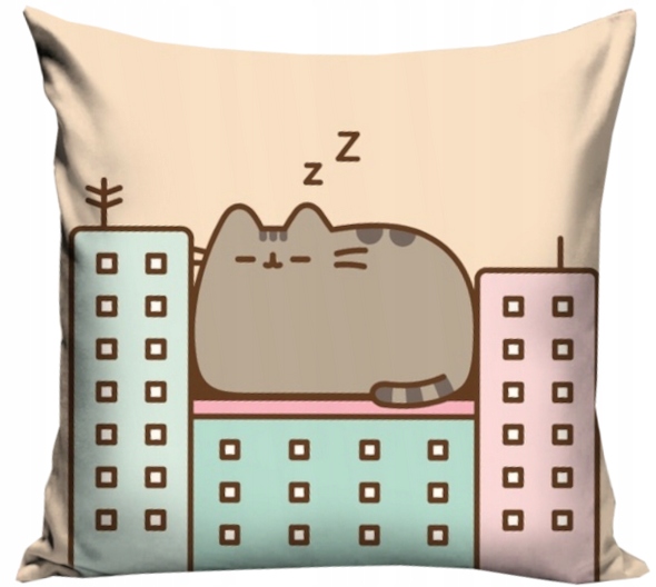 poszewka na poduszkę jasiek kotek PUSHEEN 40x40
