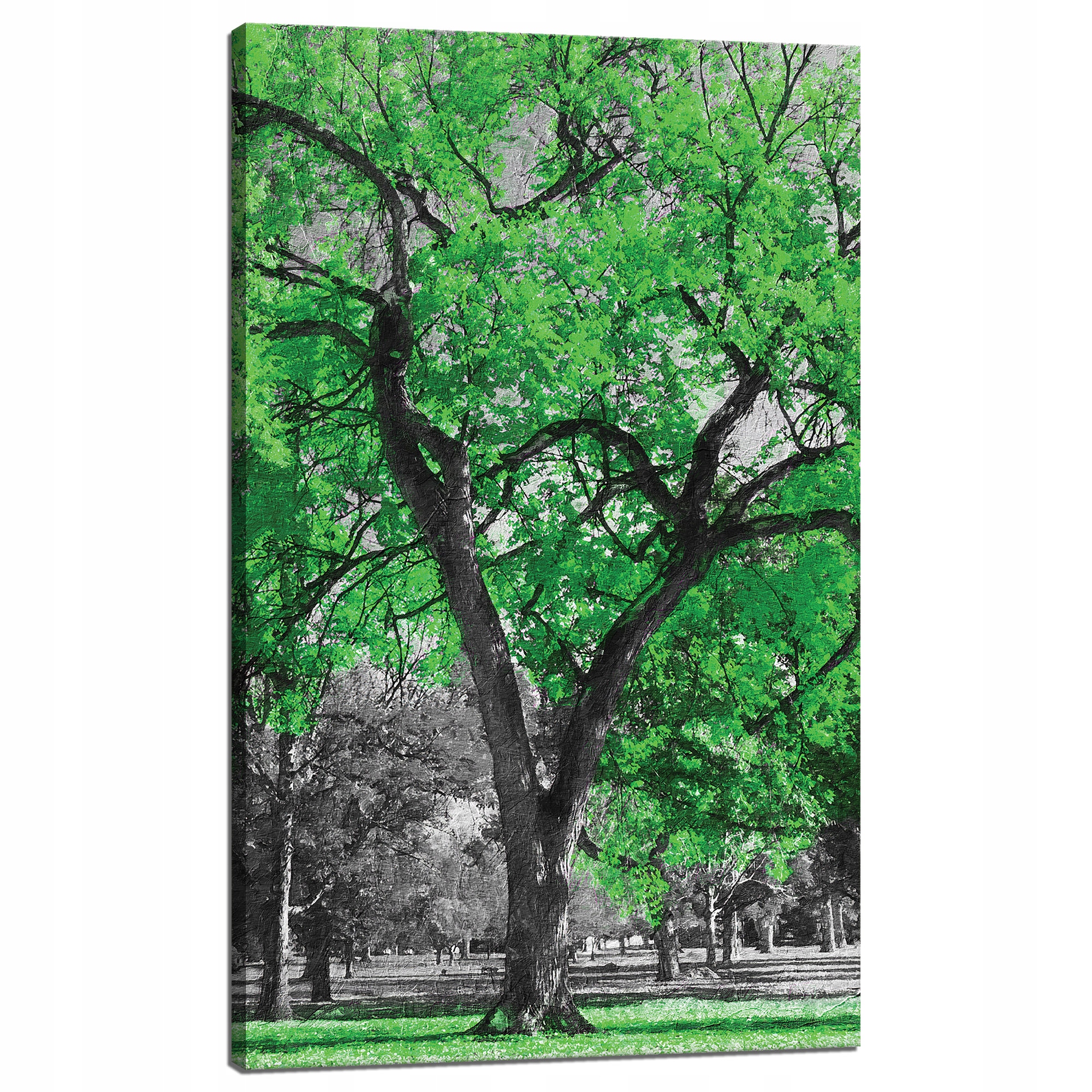 Obraz na plátně Černé Stromy Zelené Listy Umění 60x100 cm
