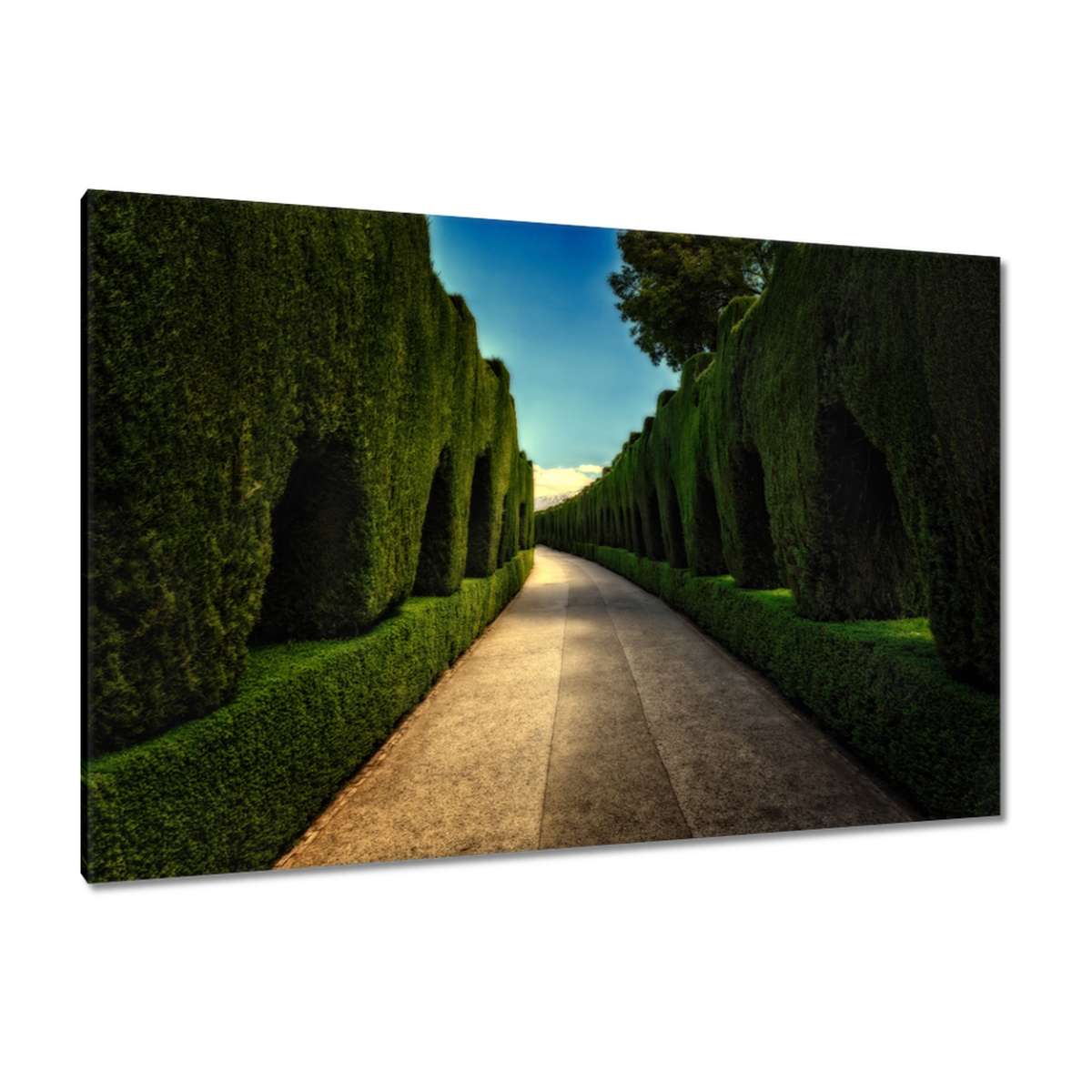 Obrazy 120x80 Krajina Pohled