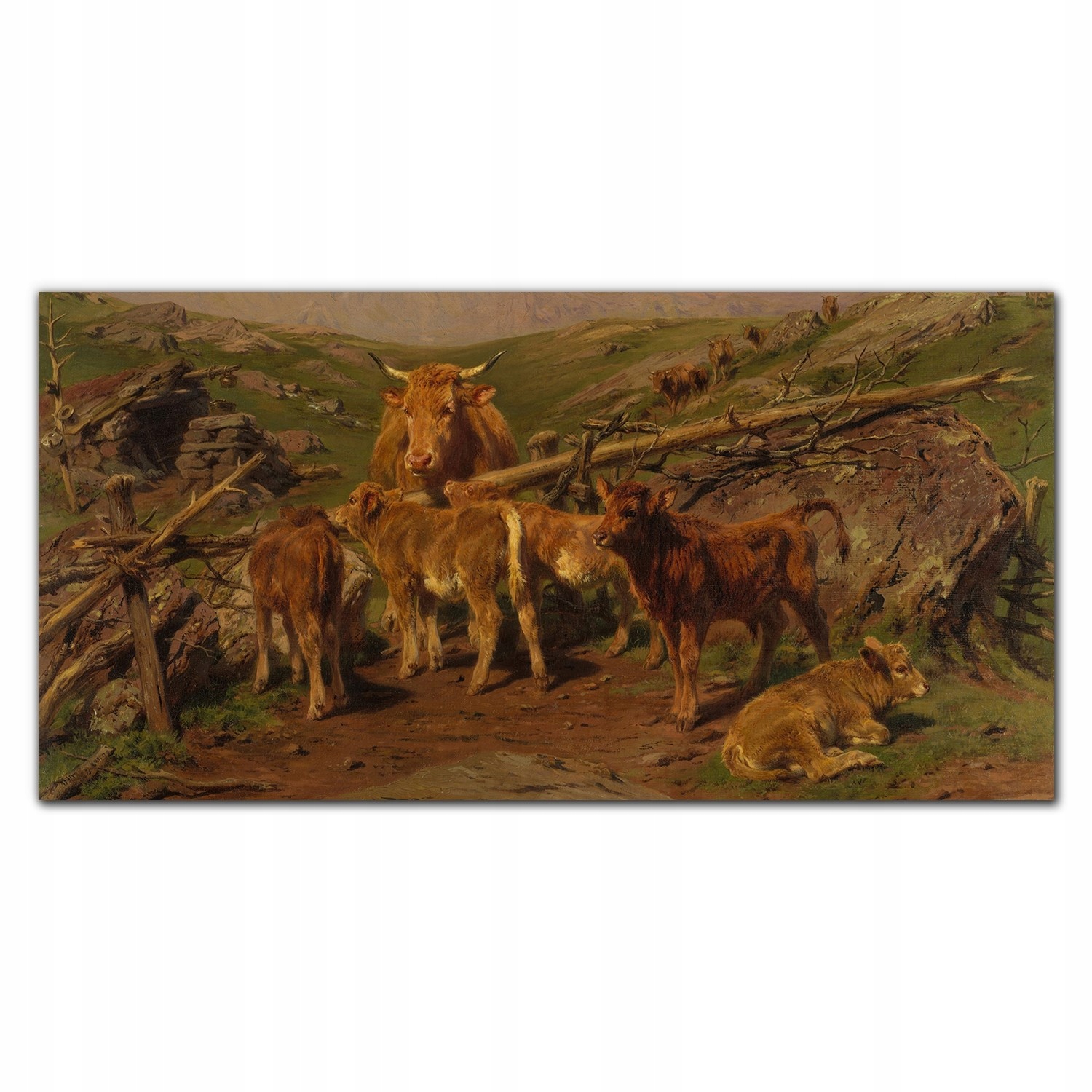 Tvrzený panel Krajina zvířata krávy 100x50