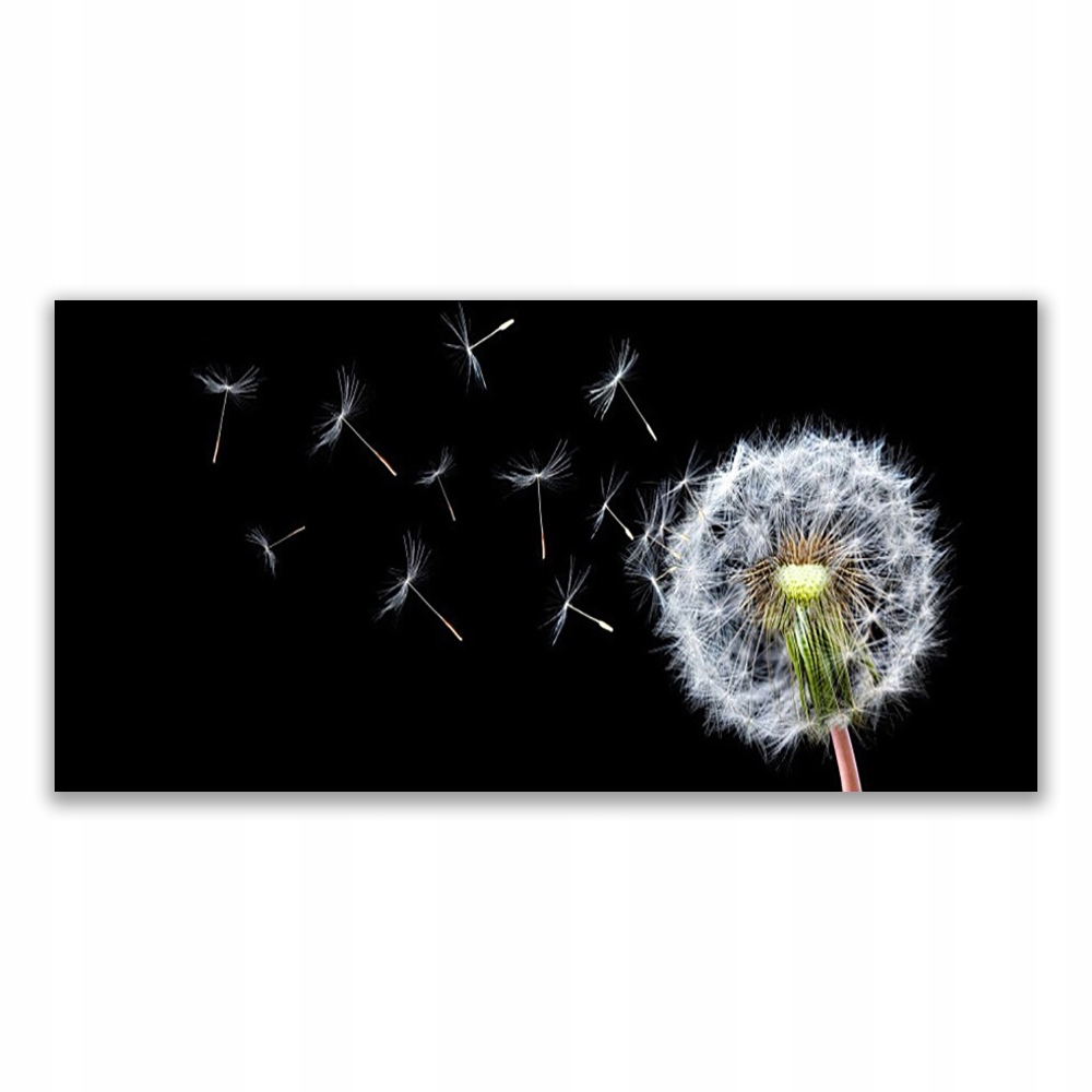 

Fotoobraz wiszący 140x70 Dmuchawce Kwiaty Natura