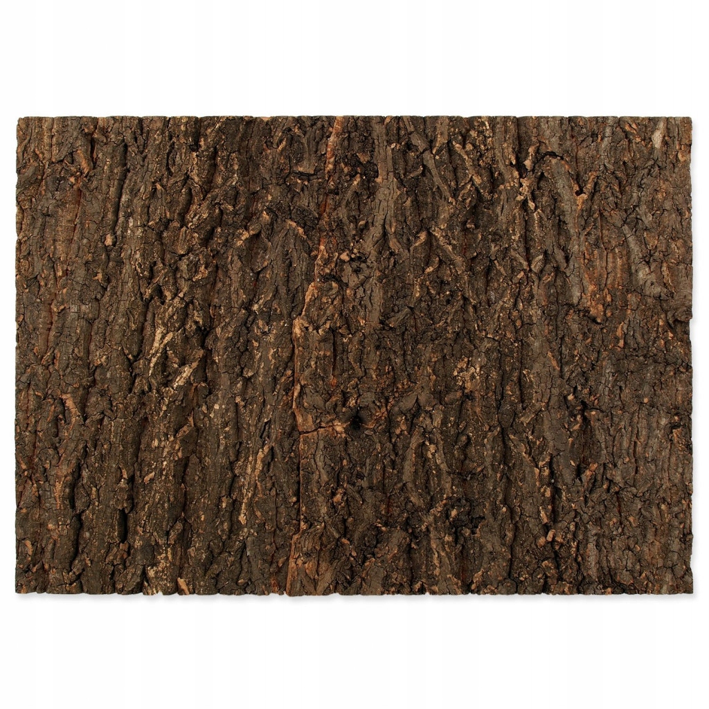 Levně Pozadí Repti Planet korek přírodní 58,5x41x2cm