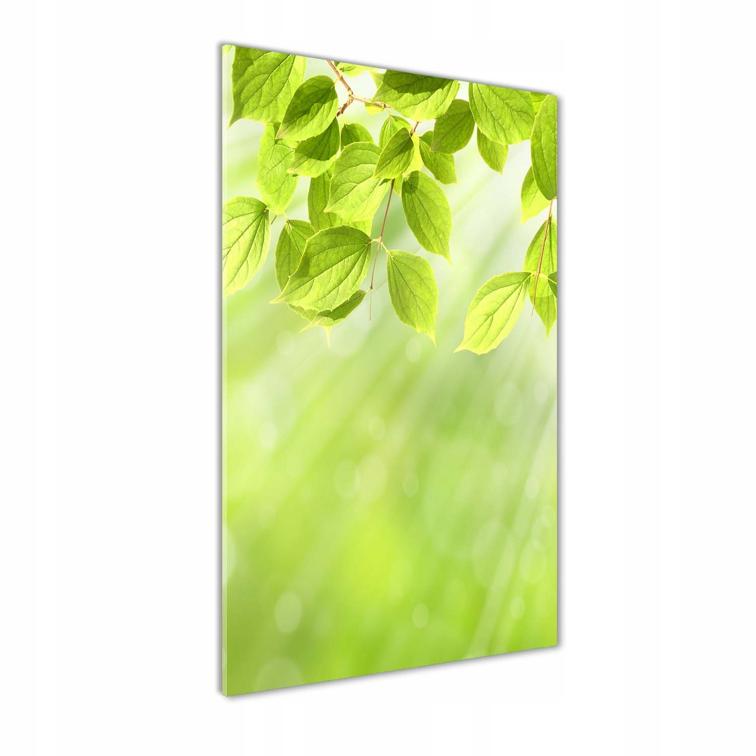 

Foto obraz akryl do salonu Zielone listki 70x140cm