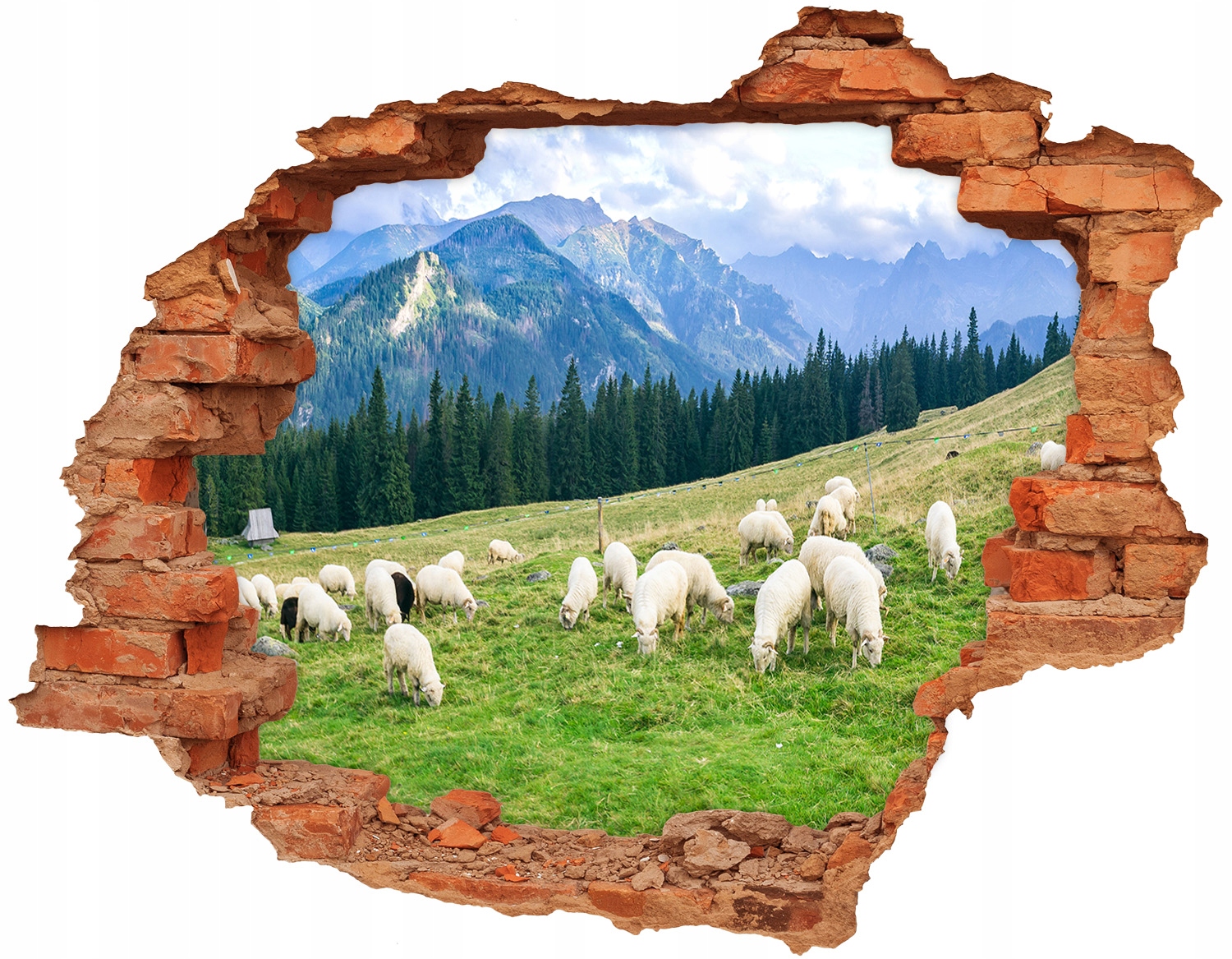 

Dziura 3d w ścianie Naklejka Owce w Tatrach 90x70