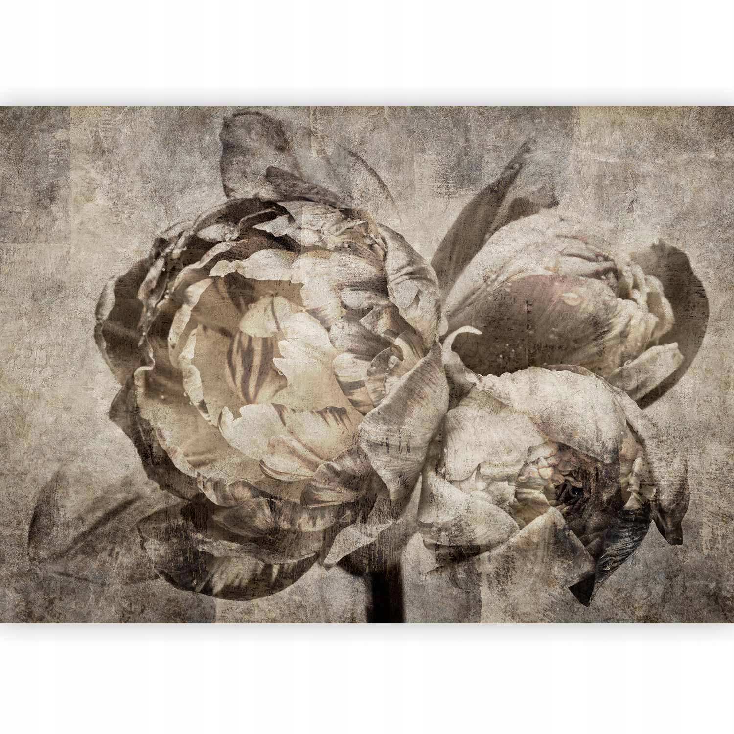 Fototapeta Premium Piwonie Vintage Salon Tapeta Ścienna Flizelina 450x315