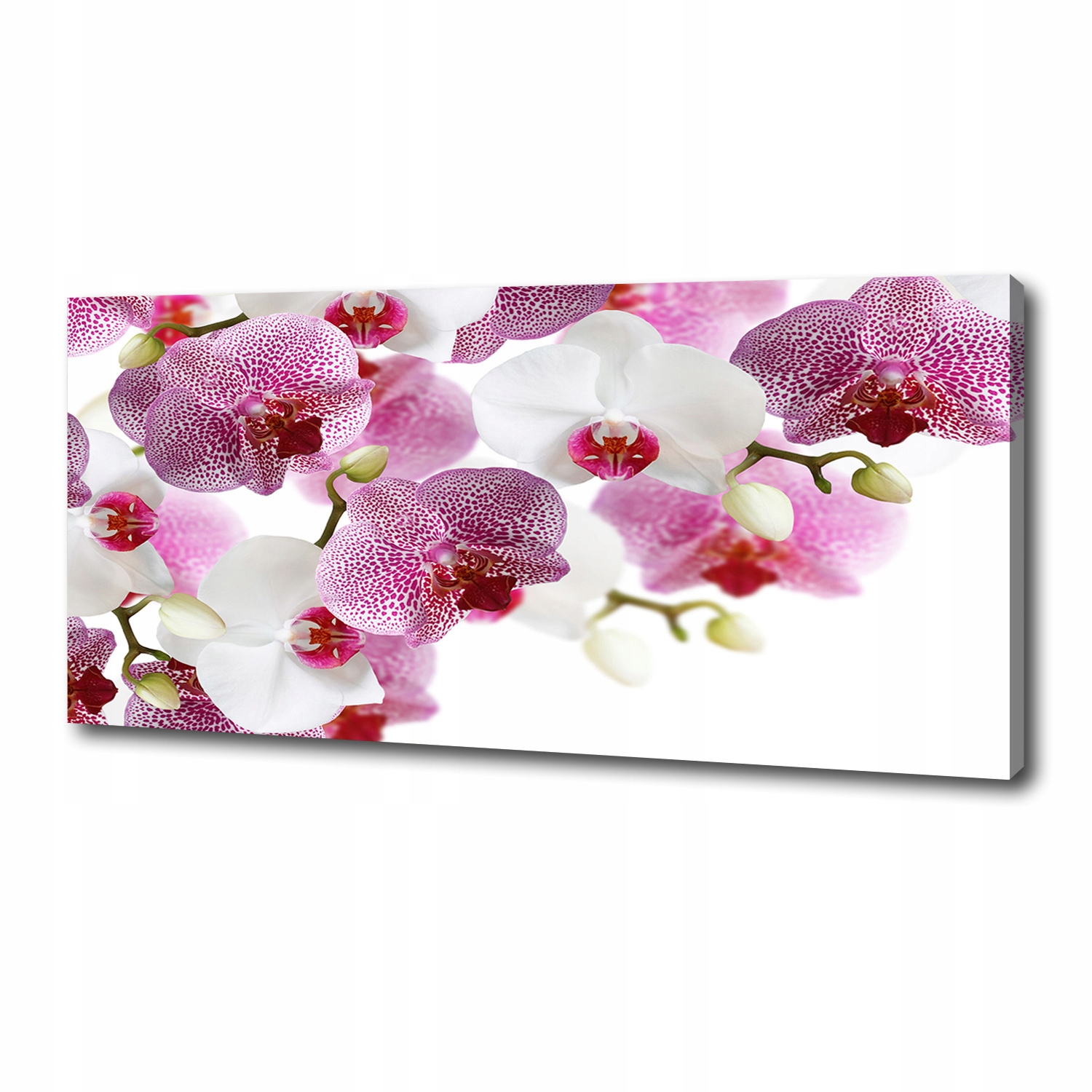

Foto obraz canvas na ścianę Orchidea 125x50 cm