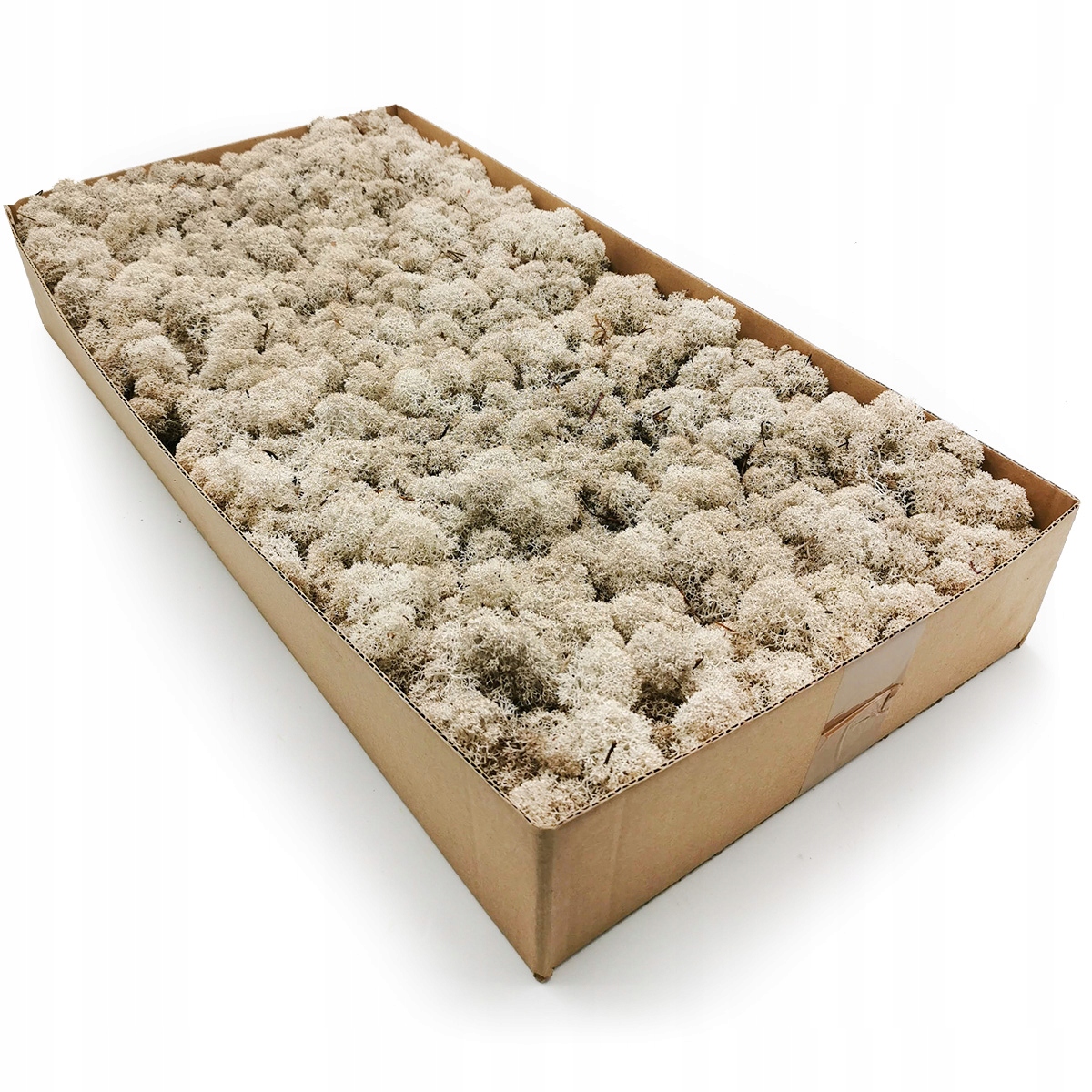 Mech chrobotek fiński 500g