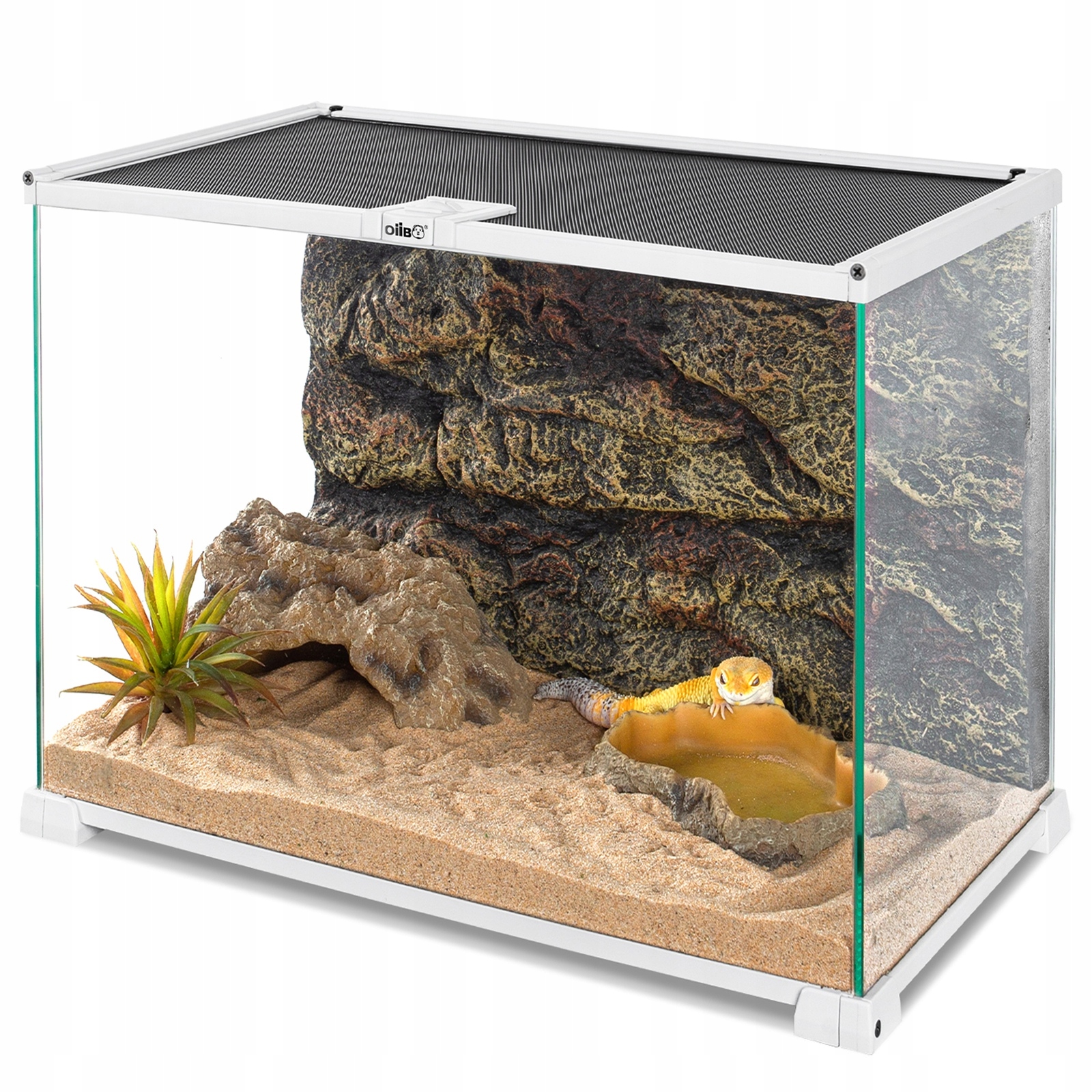 Terrarium Oiibo 50X30X35CM Szklane 360 Wentylacja Bezpieczne Dla Gadów
