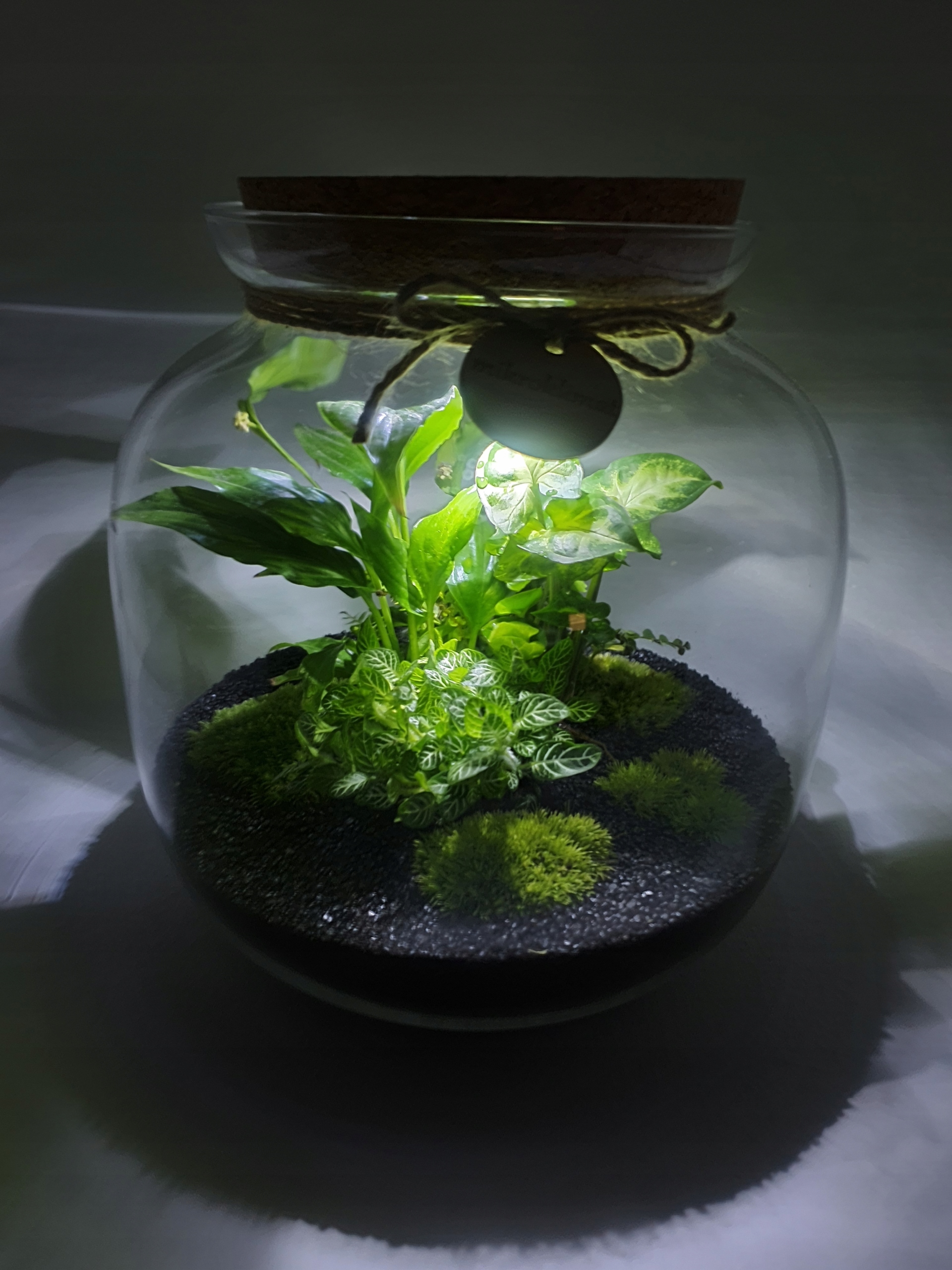 POKRYWKA KORKOWA z LED dowolny wymiar grubość 3cm Kod producenta 1234