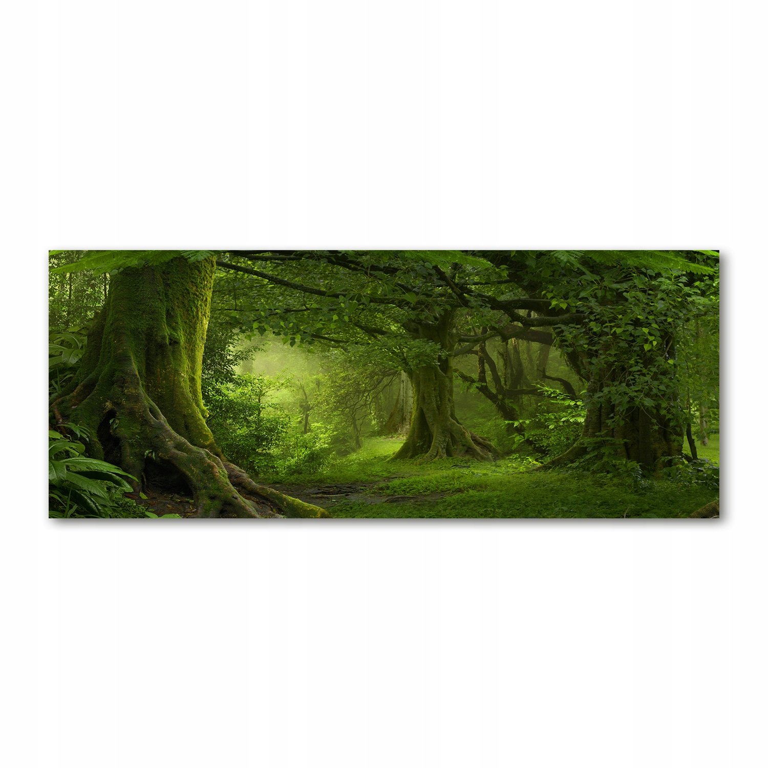

Foto obraz szkło akryl Tropikalna dżungla 125x50cm