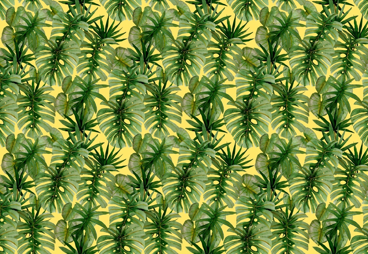 

Fototapeta Flizelinowa Palma Monstera 152x104
