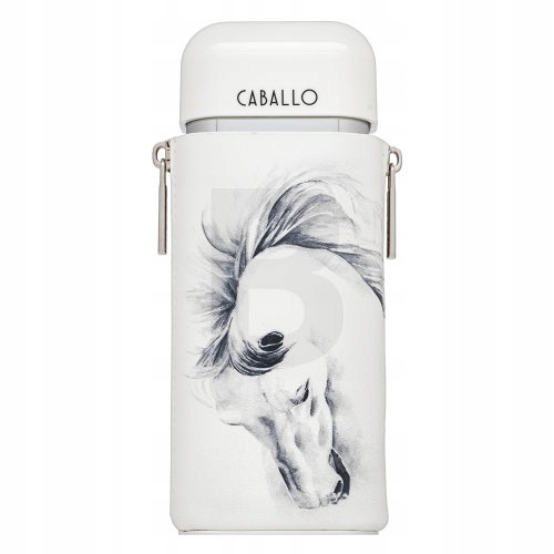 Armaf Caballo Pour Homme parfémovaná voda pro muže 100 ml
