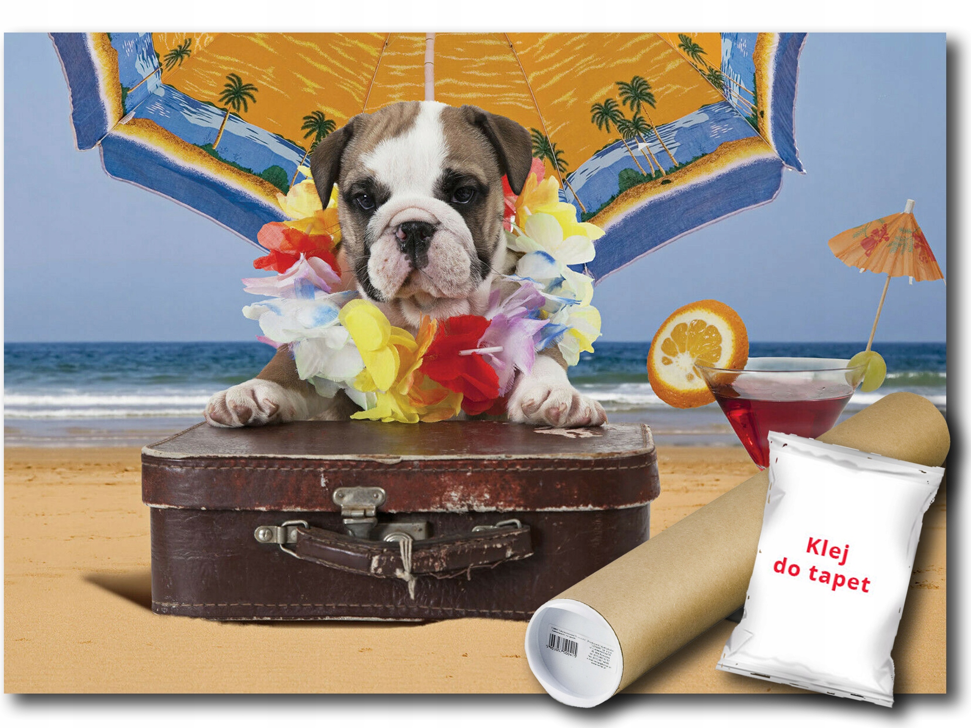 Vinylová Fototapeta Pes Pláž Prázdniny 368x254