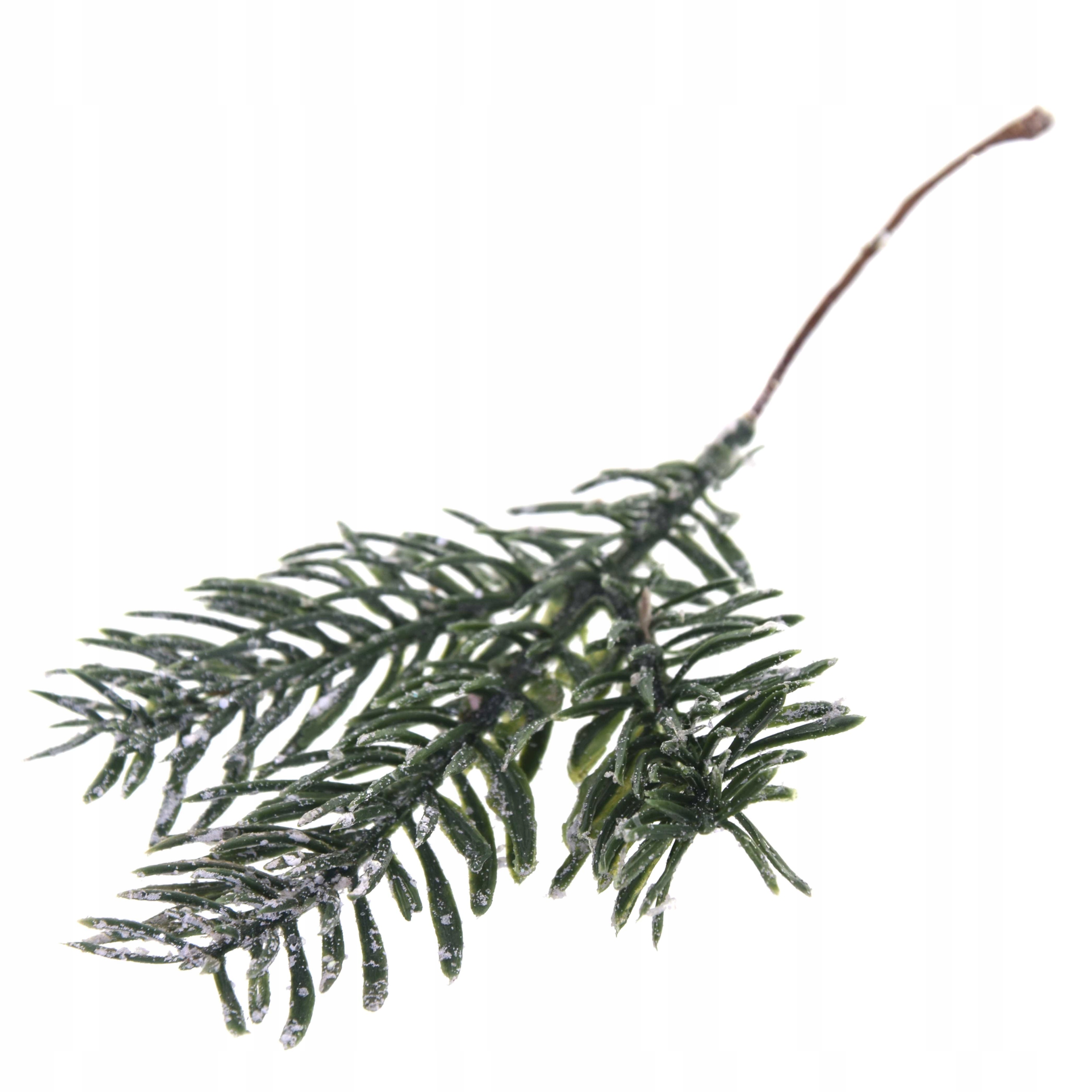 

Gałązka ośnieżona na piku 19 cm
