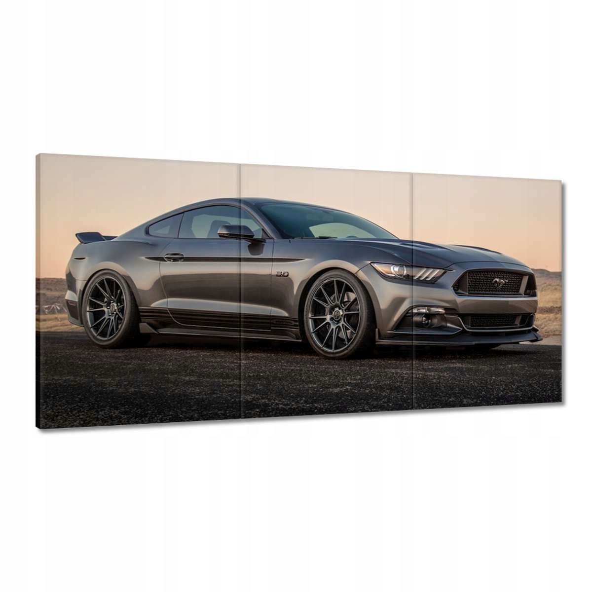 Obrazy 180x90 Ford Mustang vyrobené v Usa