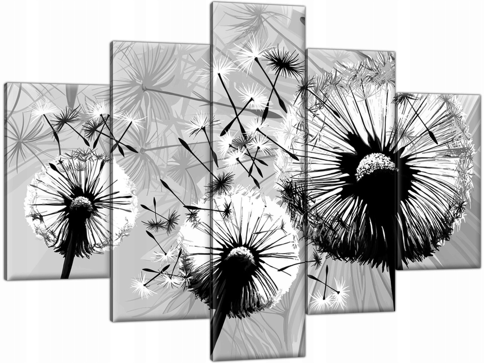 

Czarno białe Dmuchawce Dmuchawiec 150x105 Obraz