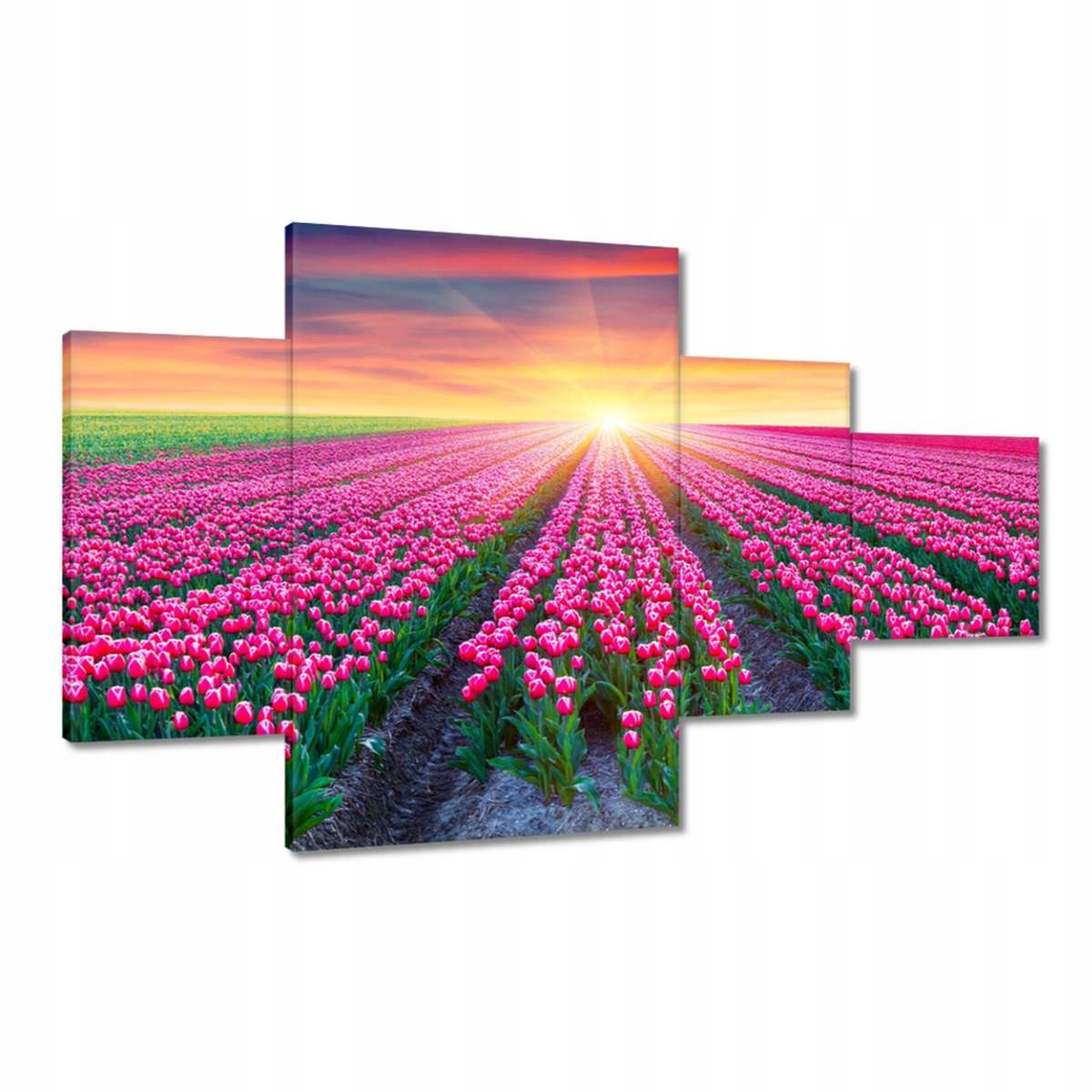 Obrazy 130x80 Moře tulipánů Tulipány