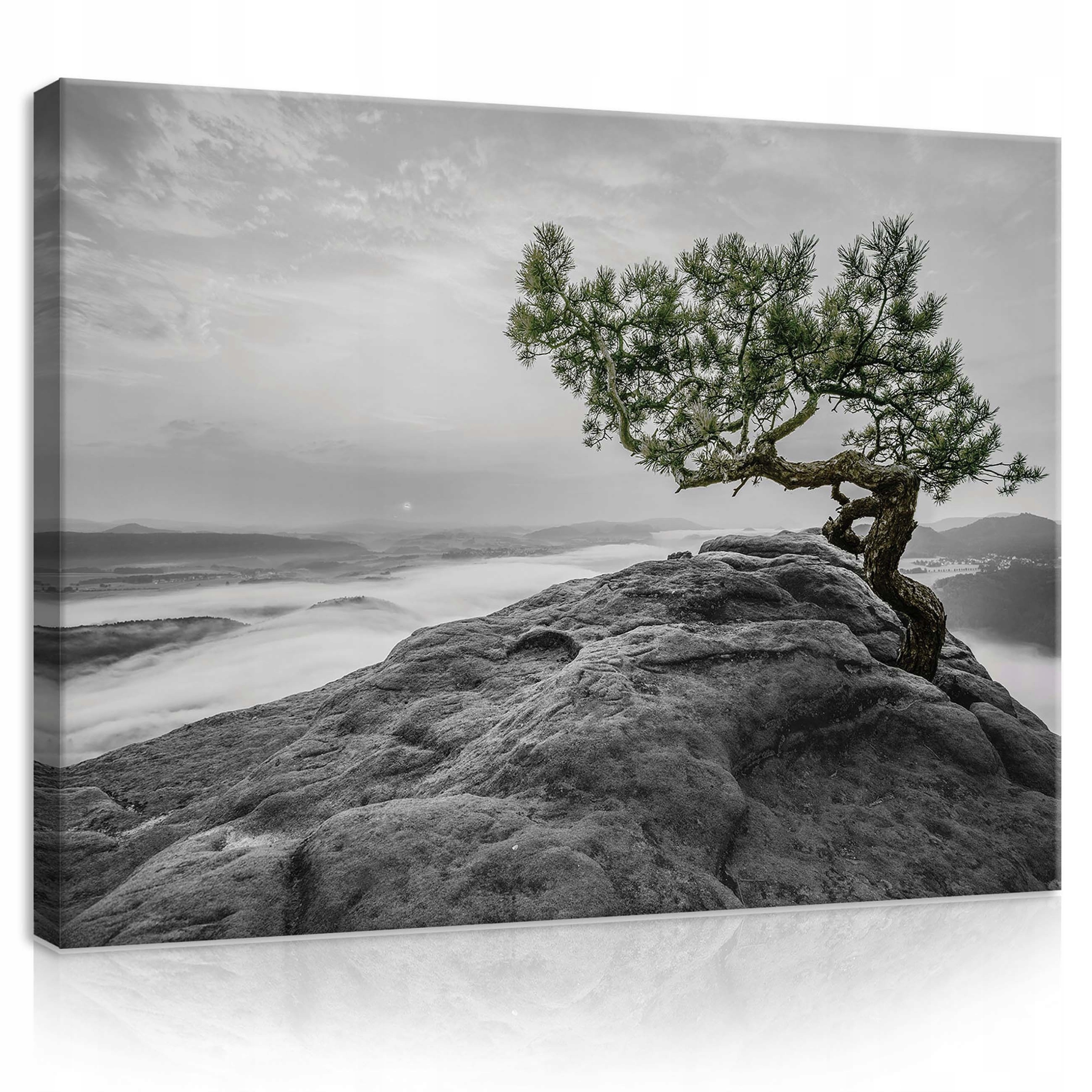 Obraz 100x75 Osamělý strom skála mlha údolí klid ticho příroda