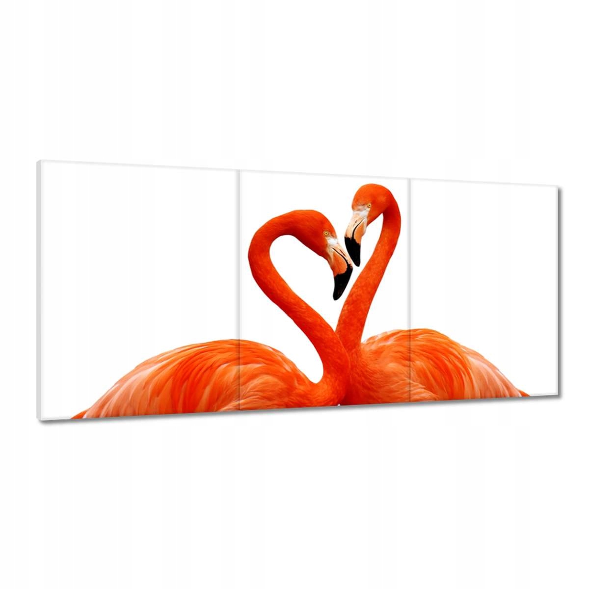 Obrazy 210x100 Zamilované plameniaky