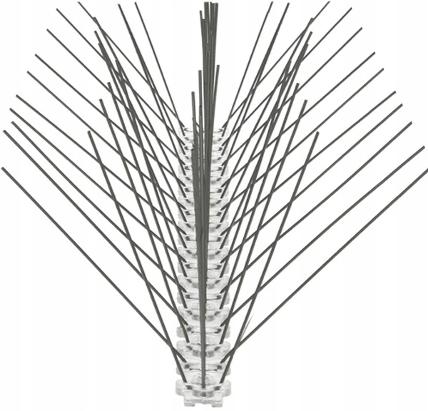 

Gęste Kolce Na Ptaki Antyptak